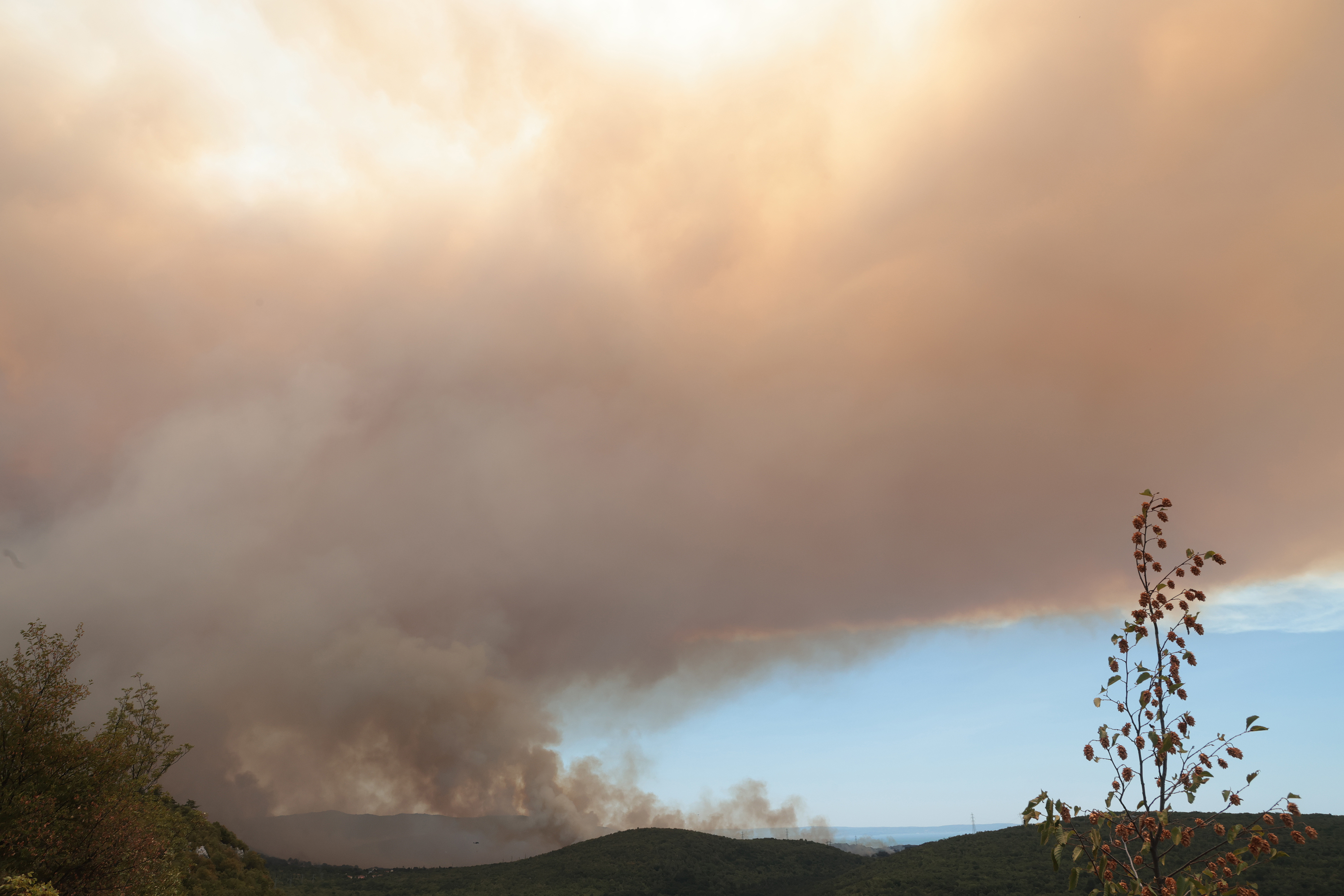 Borut Živulović/BOBO