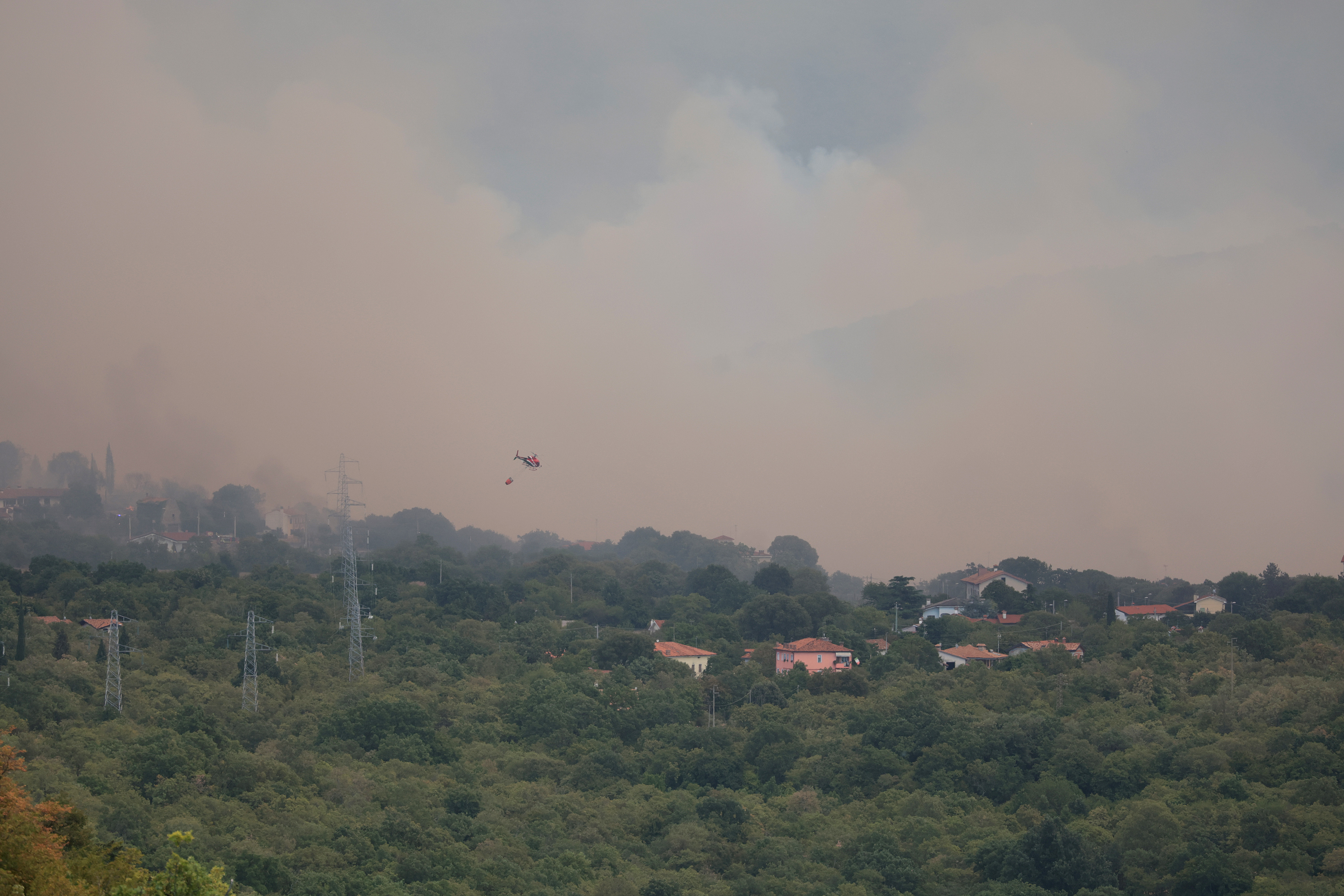 Borut Živulović/BOBO