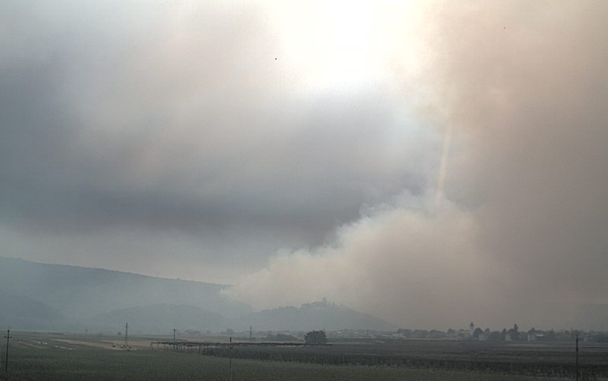 Arso/Zajem zaslona/Twitter