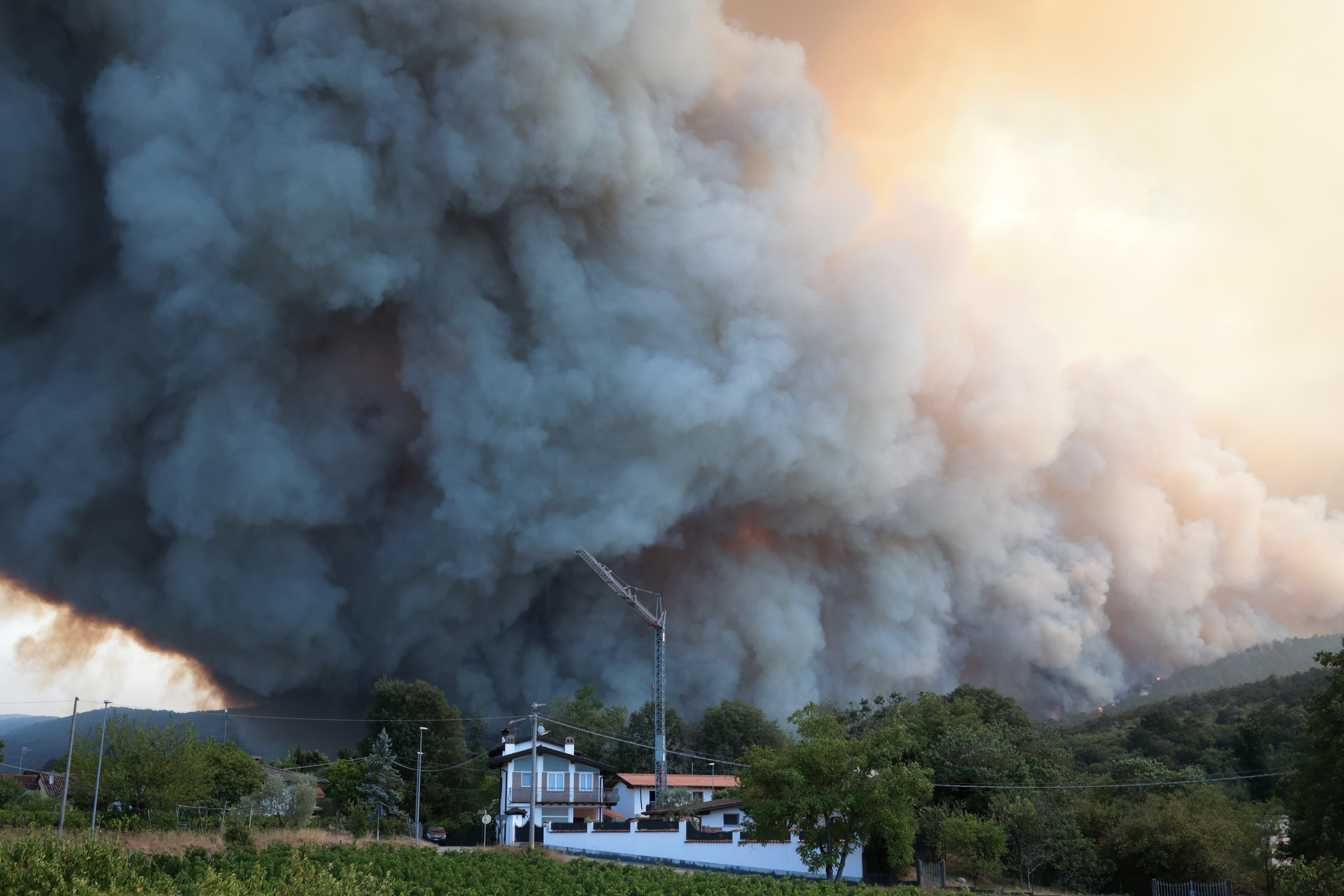Borut Živulović/ BOBO