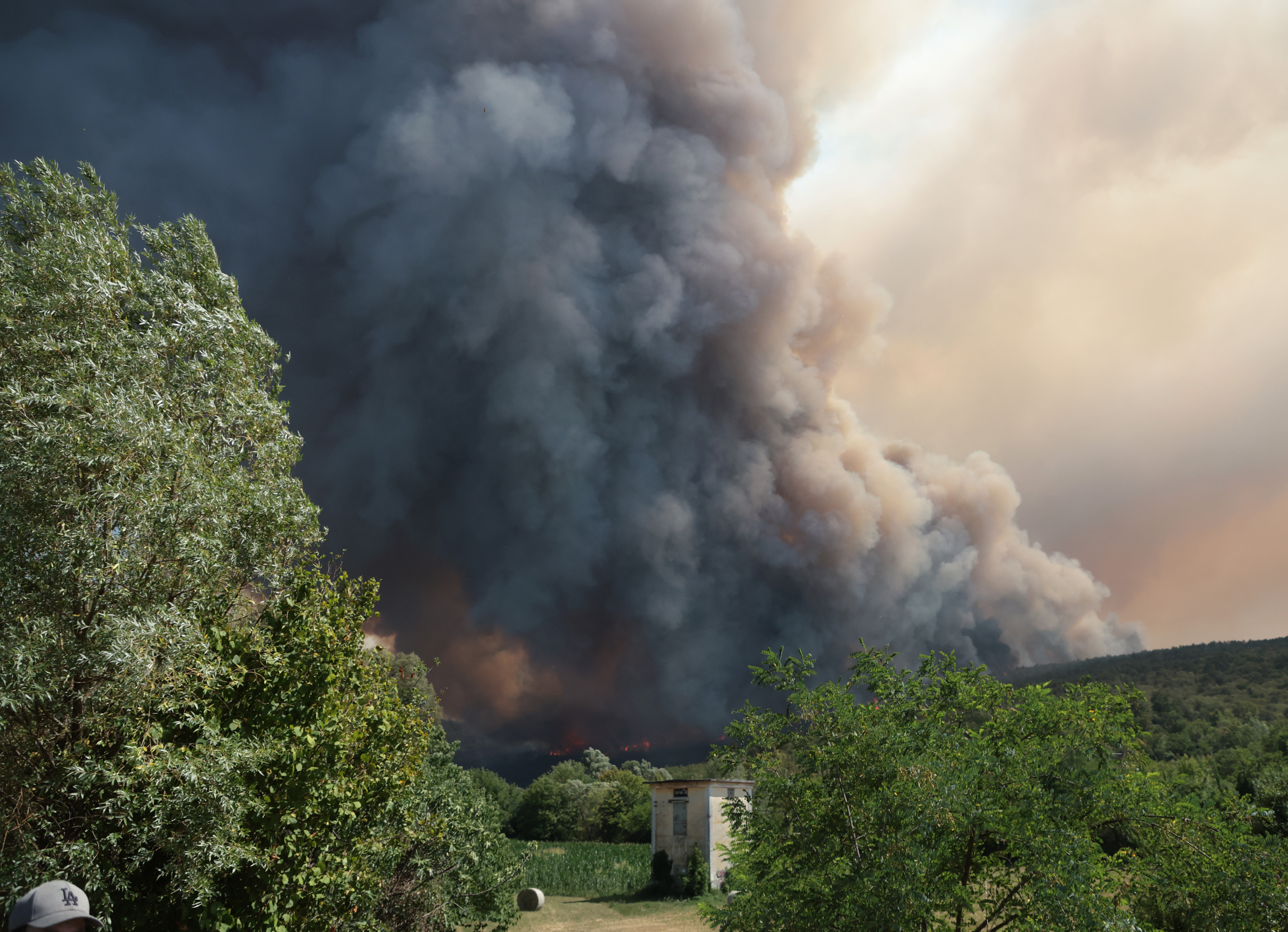 Borut Živulović/ BOBO