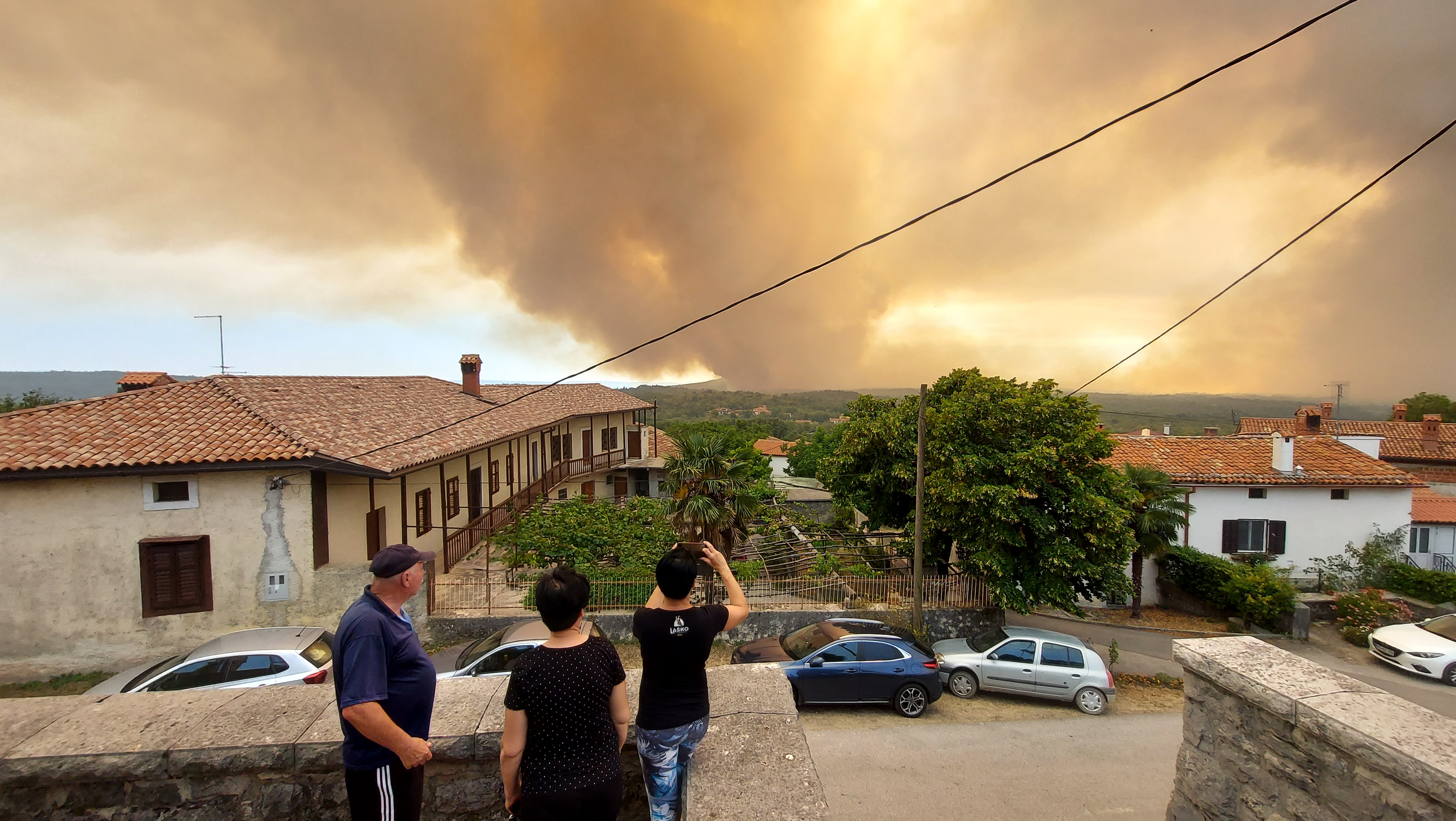 Borut Živulović/ BOBO