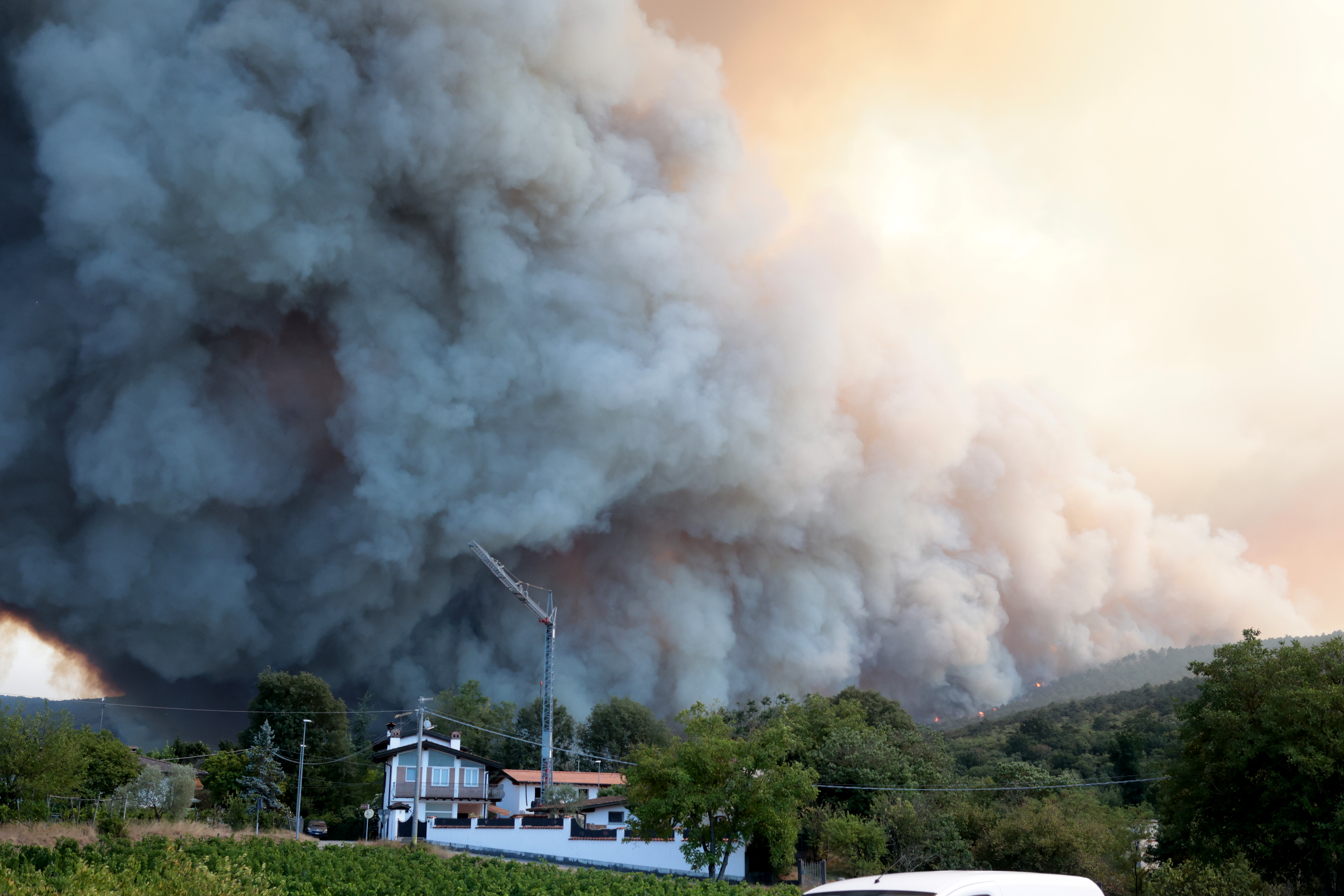 Borut Živulović/BOBO