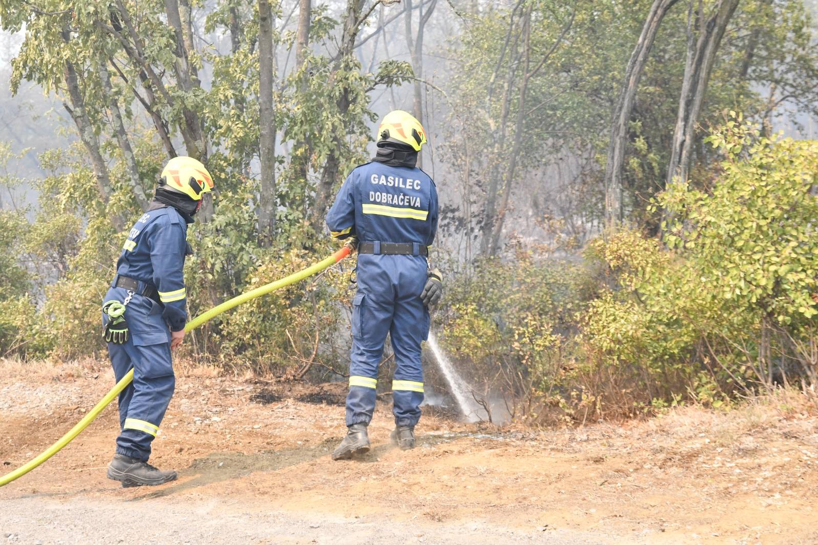 Foto: Denis Sadiković/N1
