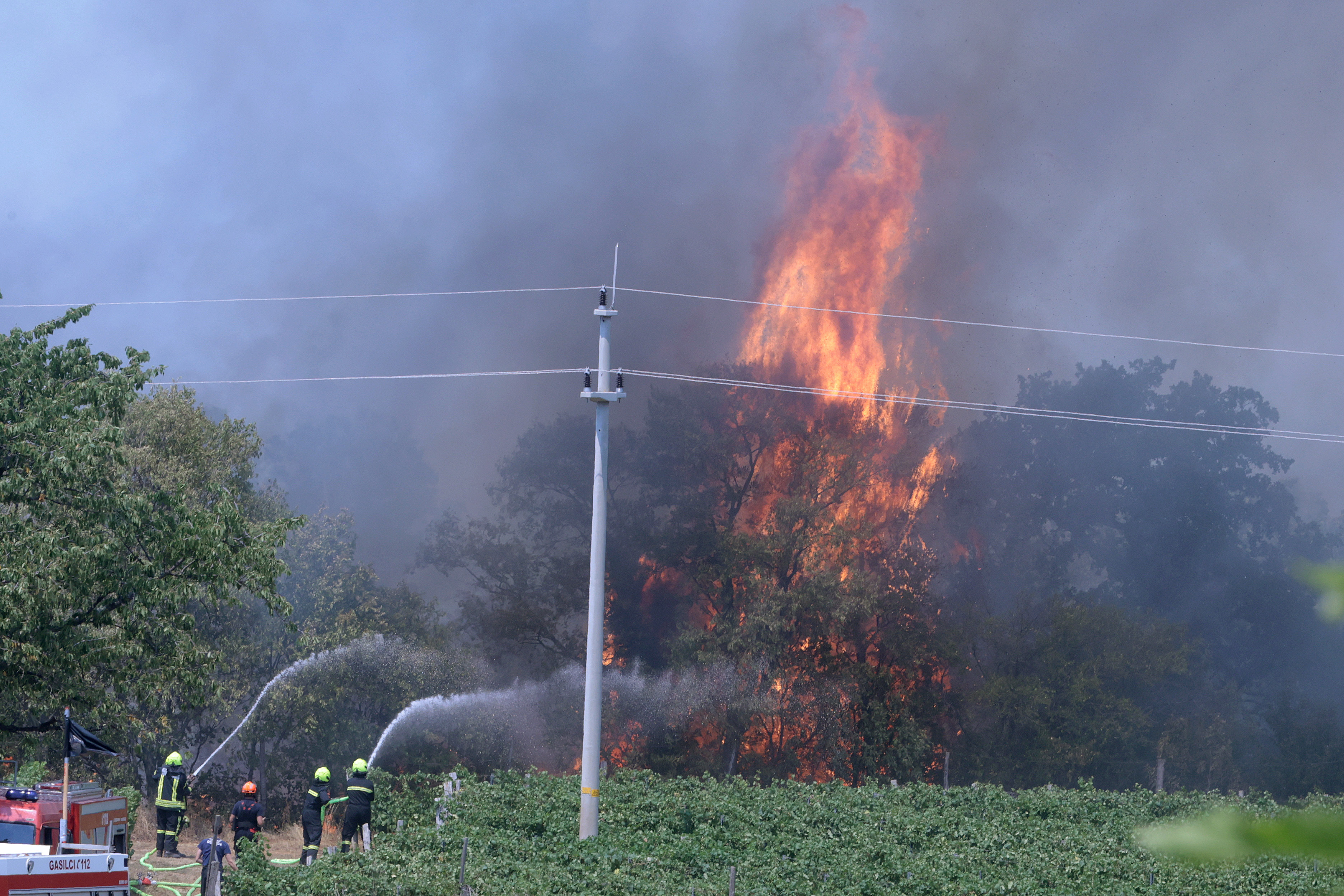 Borut Živulovič/ BOBO