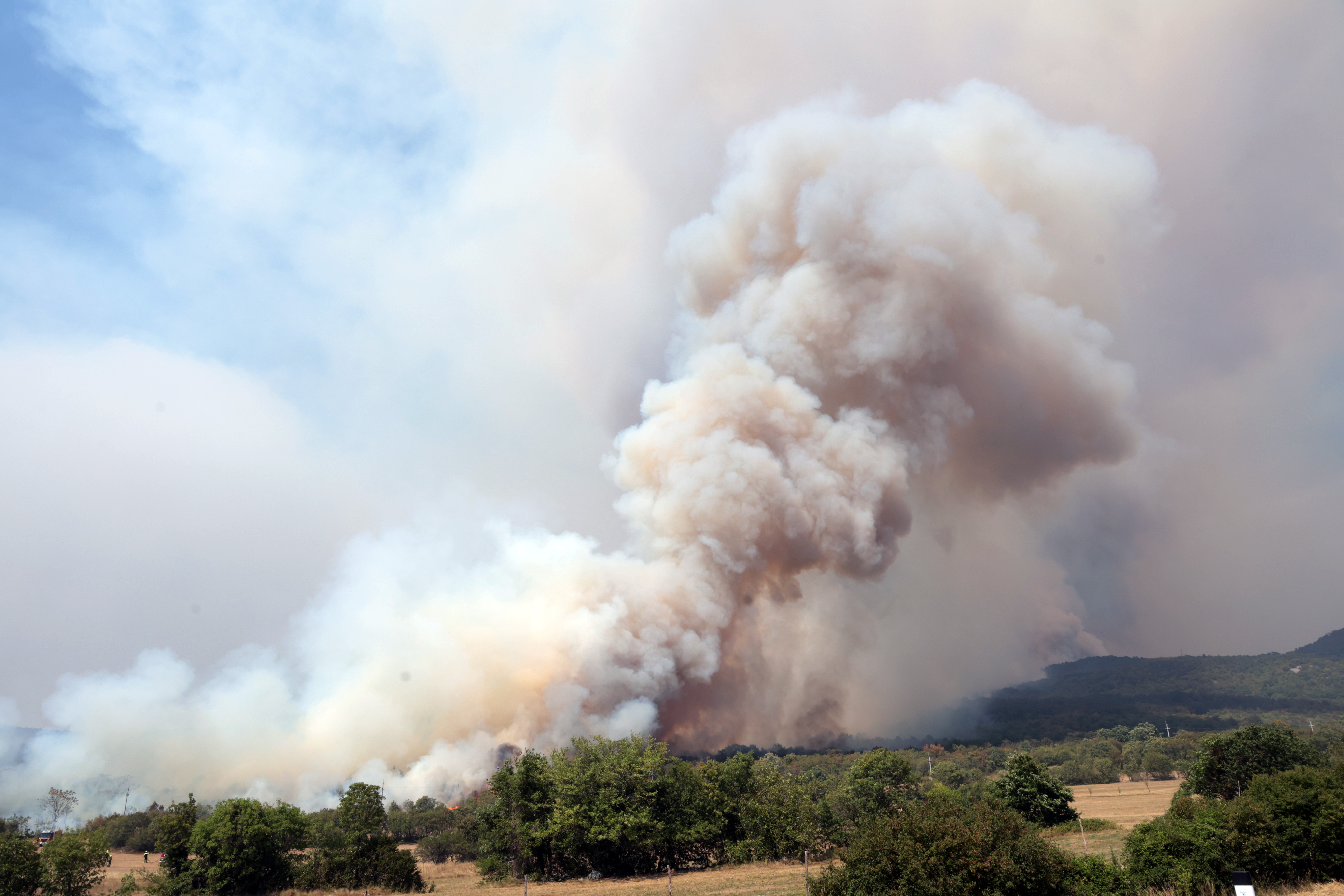 Borut Živulovič/ BOBO