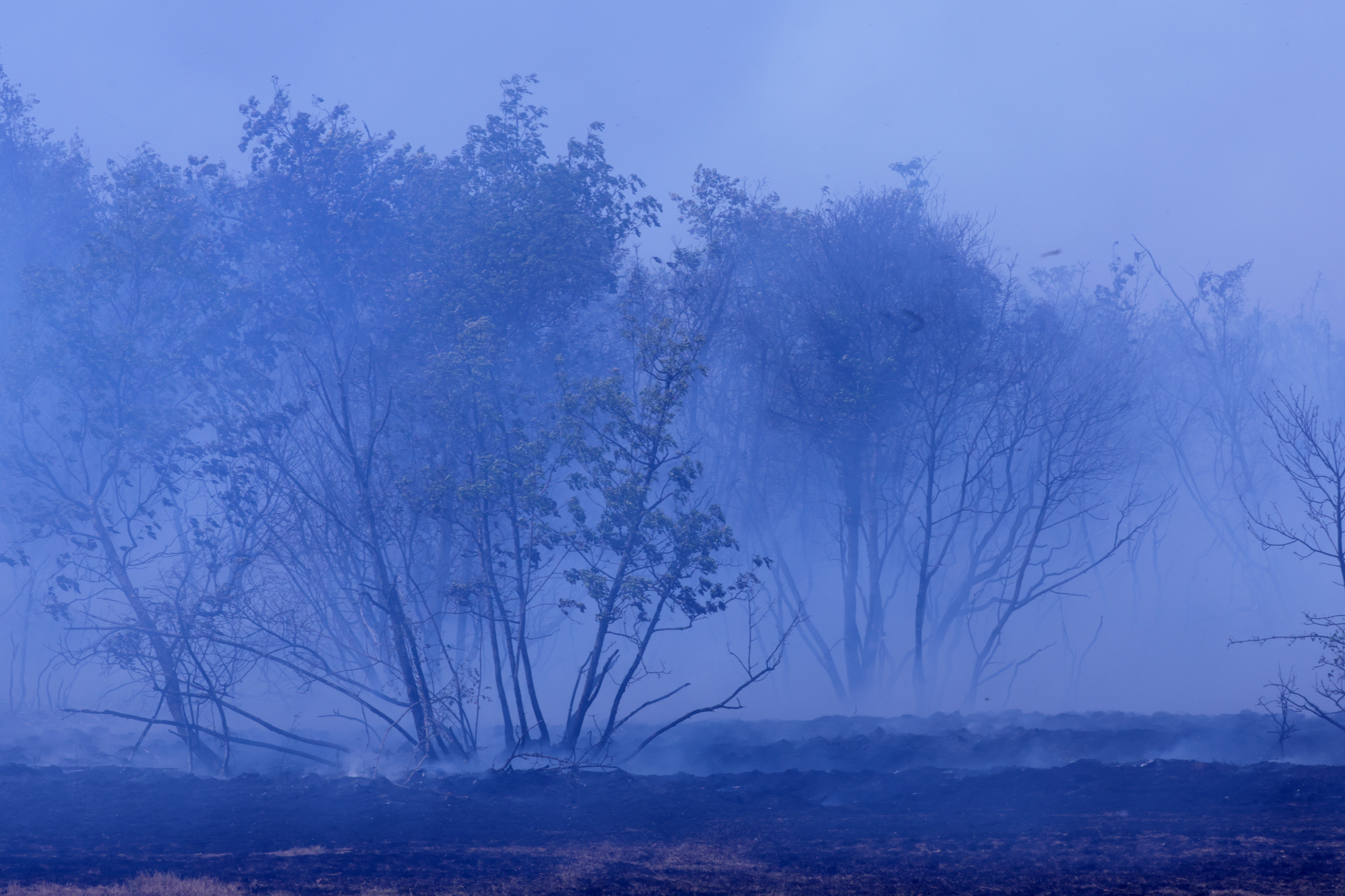 Borut Živulovič/ BOBO