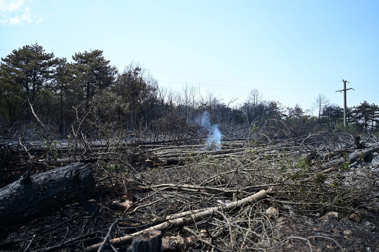 požar, Kras, požarišče