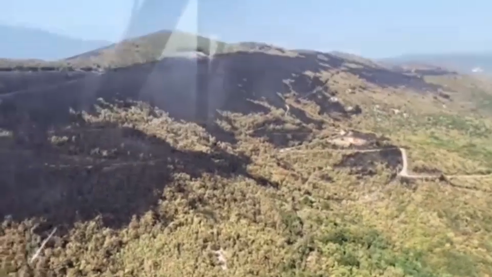 Slovenska vojska (SV)