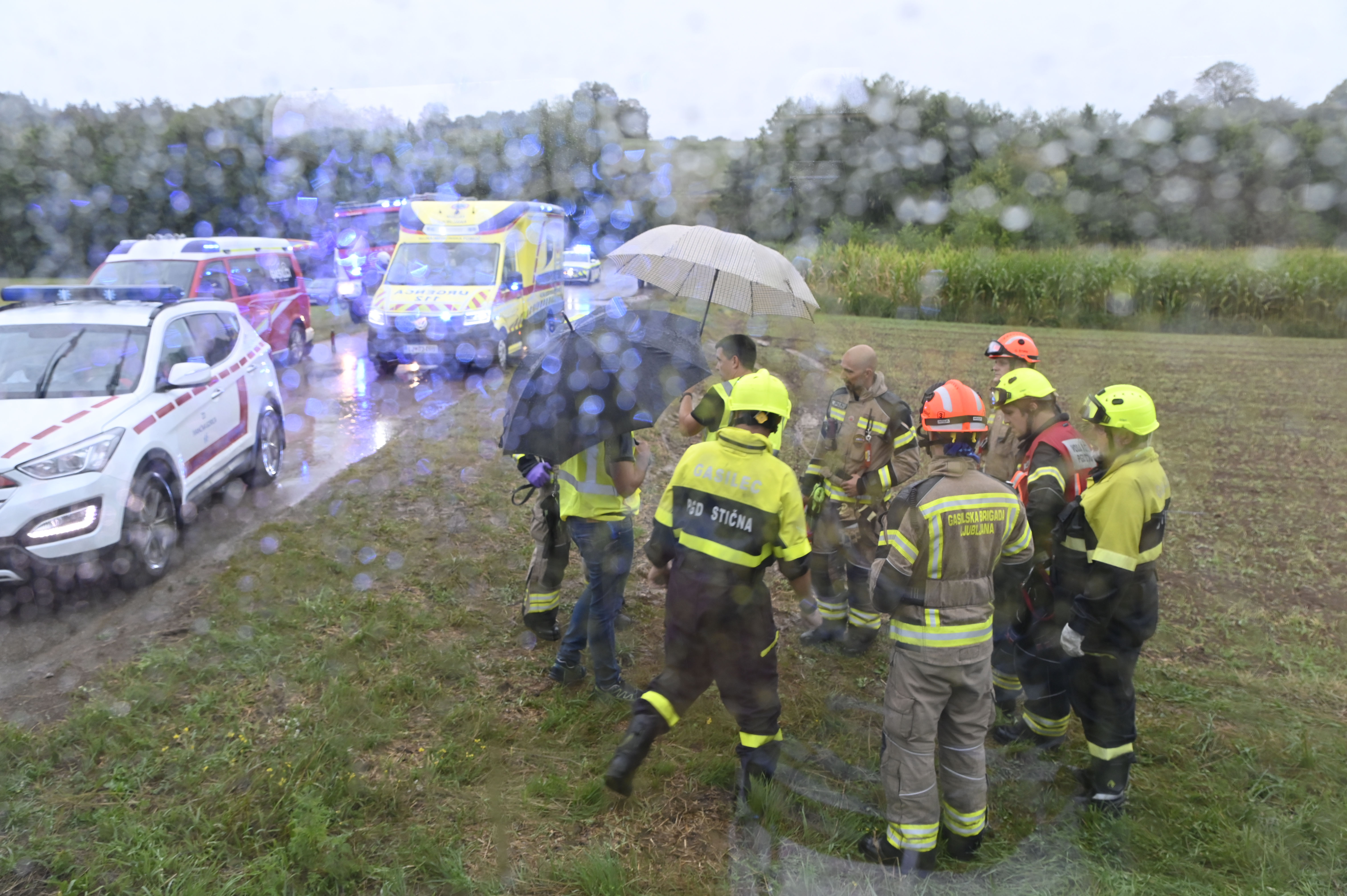 Žiga Živulović jr./Bobo