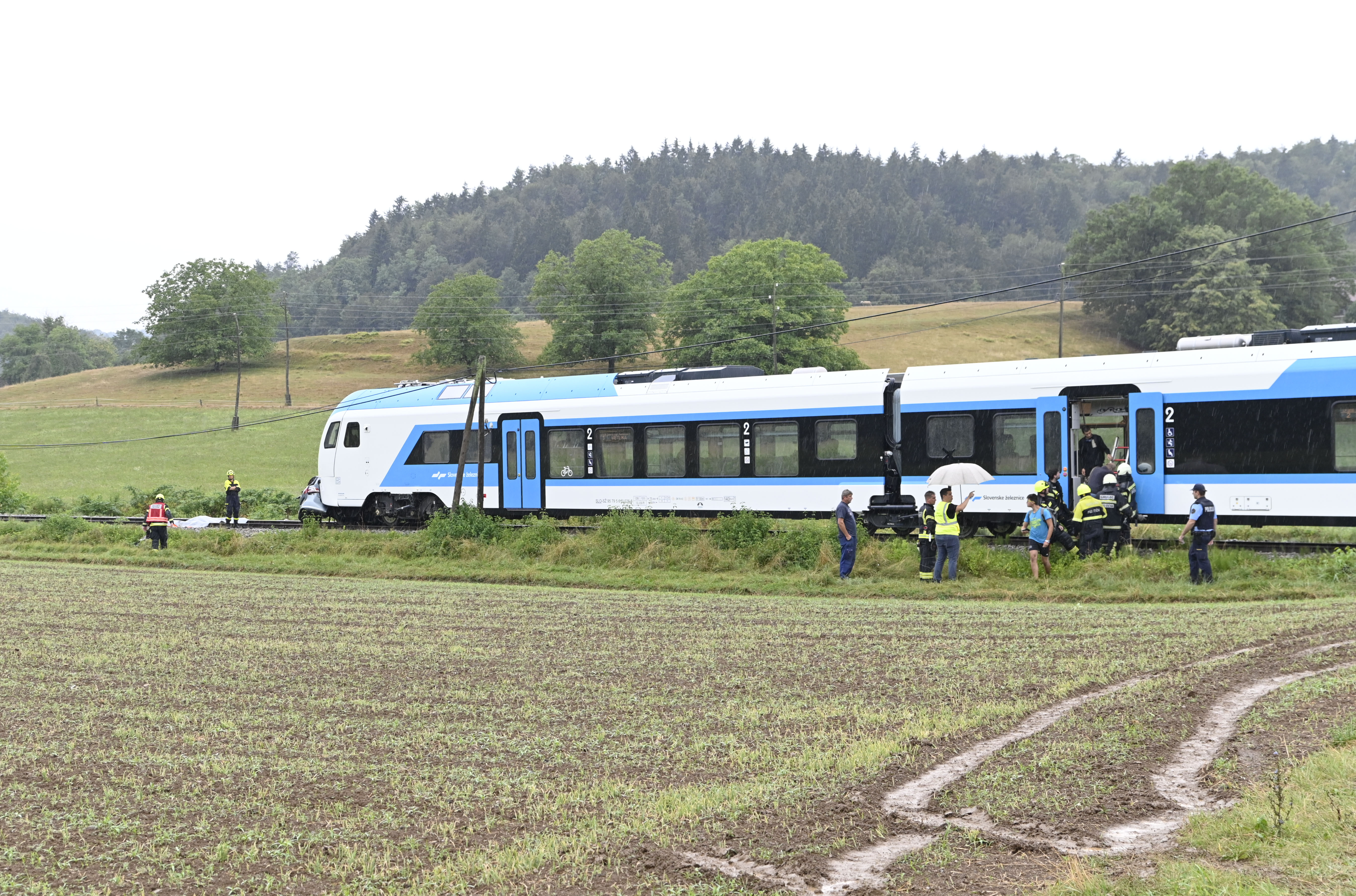 Žiga Živulović jr./Bobo