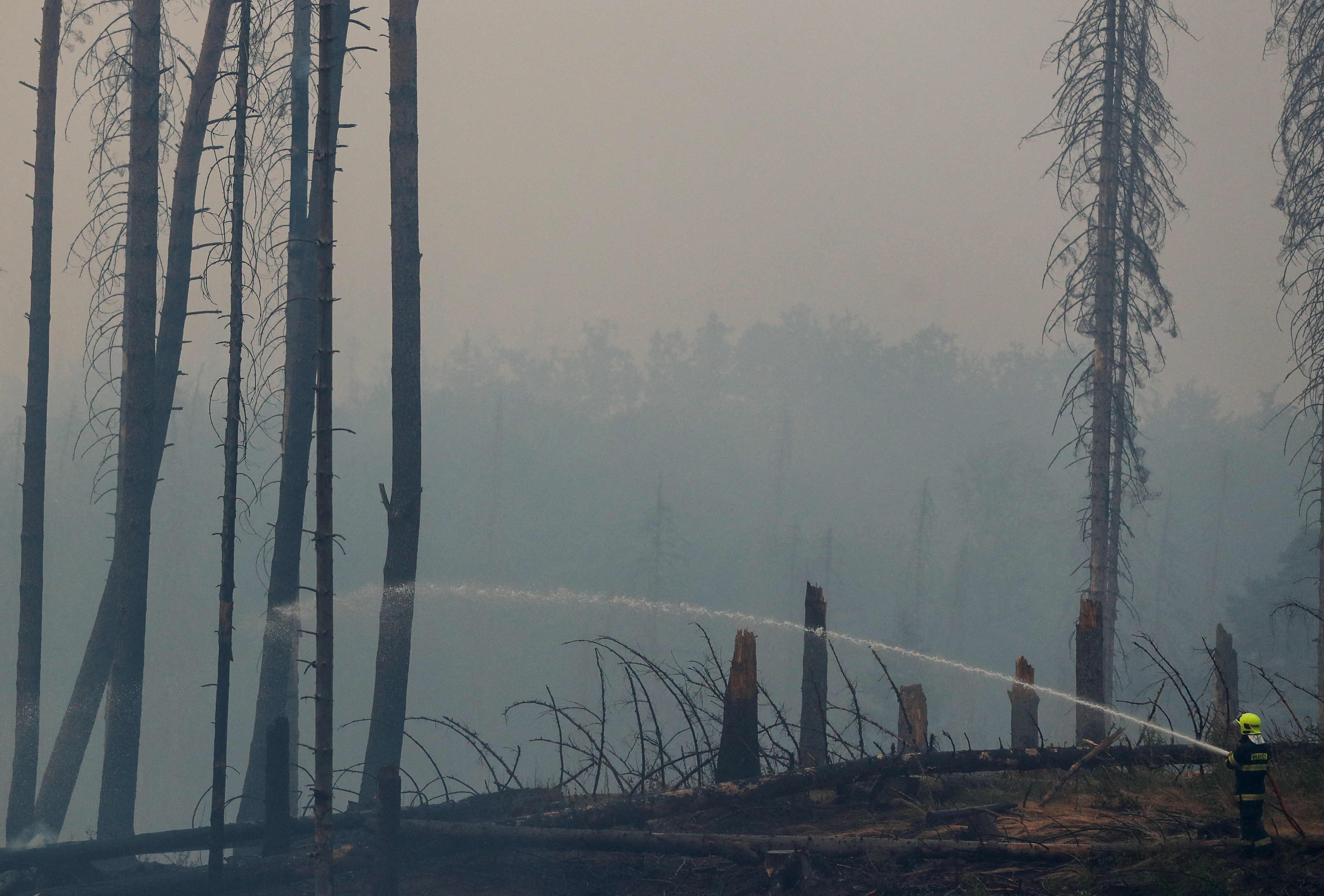 David W Cerny/REUTERS