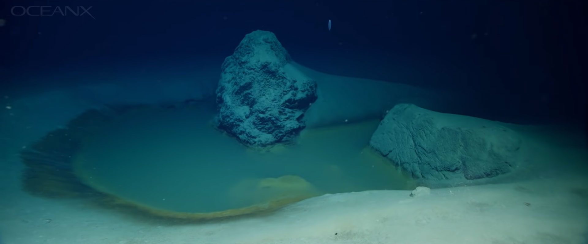 bazen, Rdeče morje, OceanX, ekspedicija, solnica