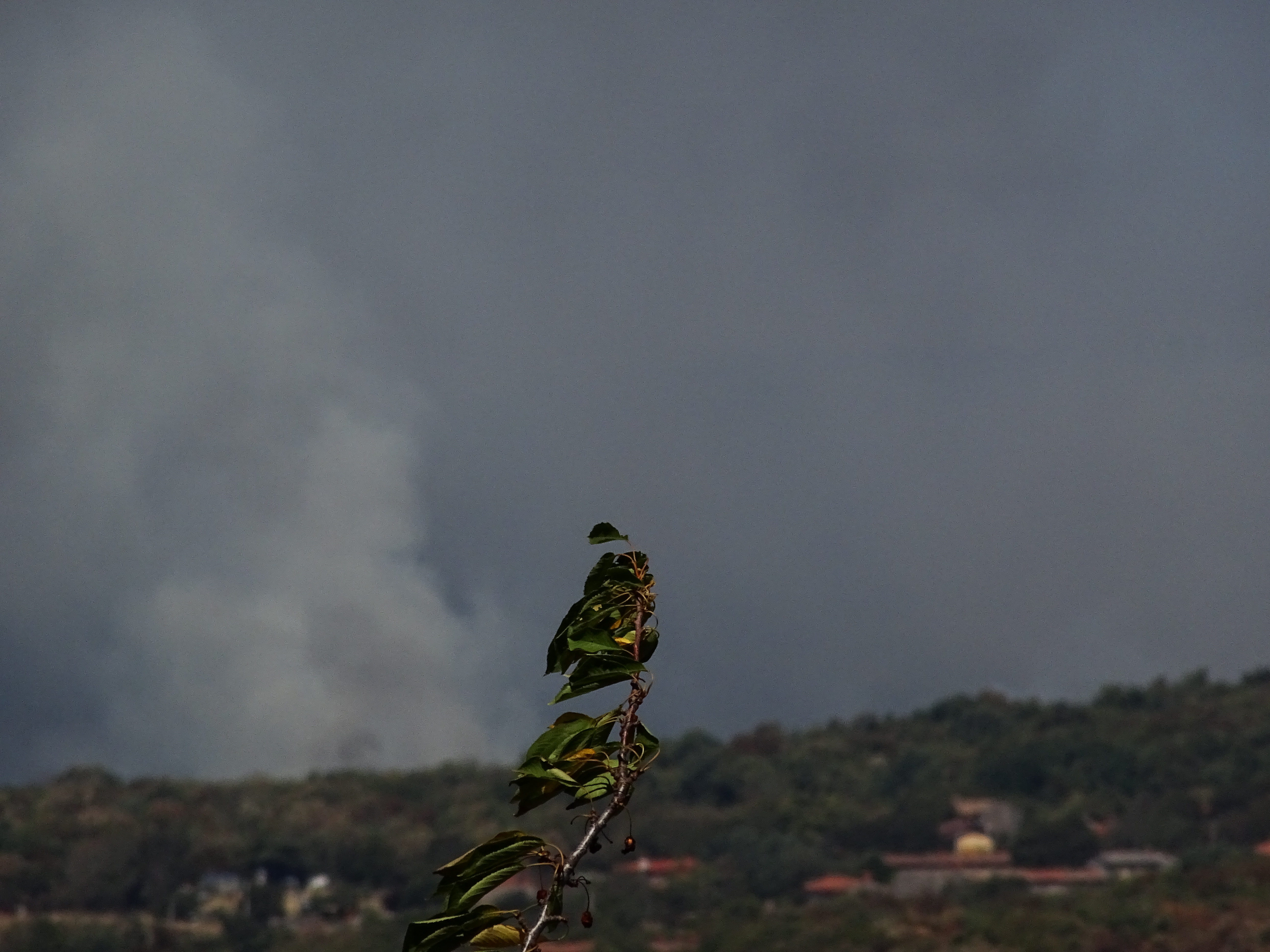 požar, kras, italija
