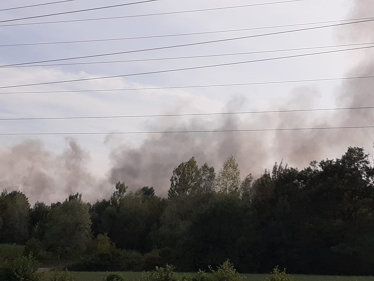 Civilna iniciativa za zeleno Stražišče/Facebook