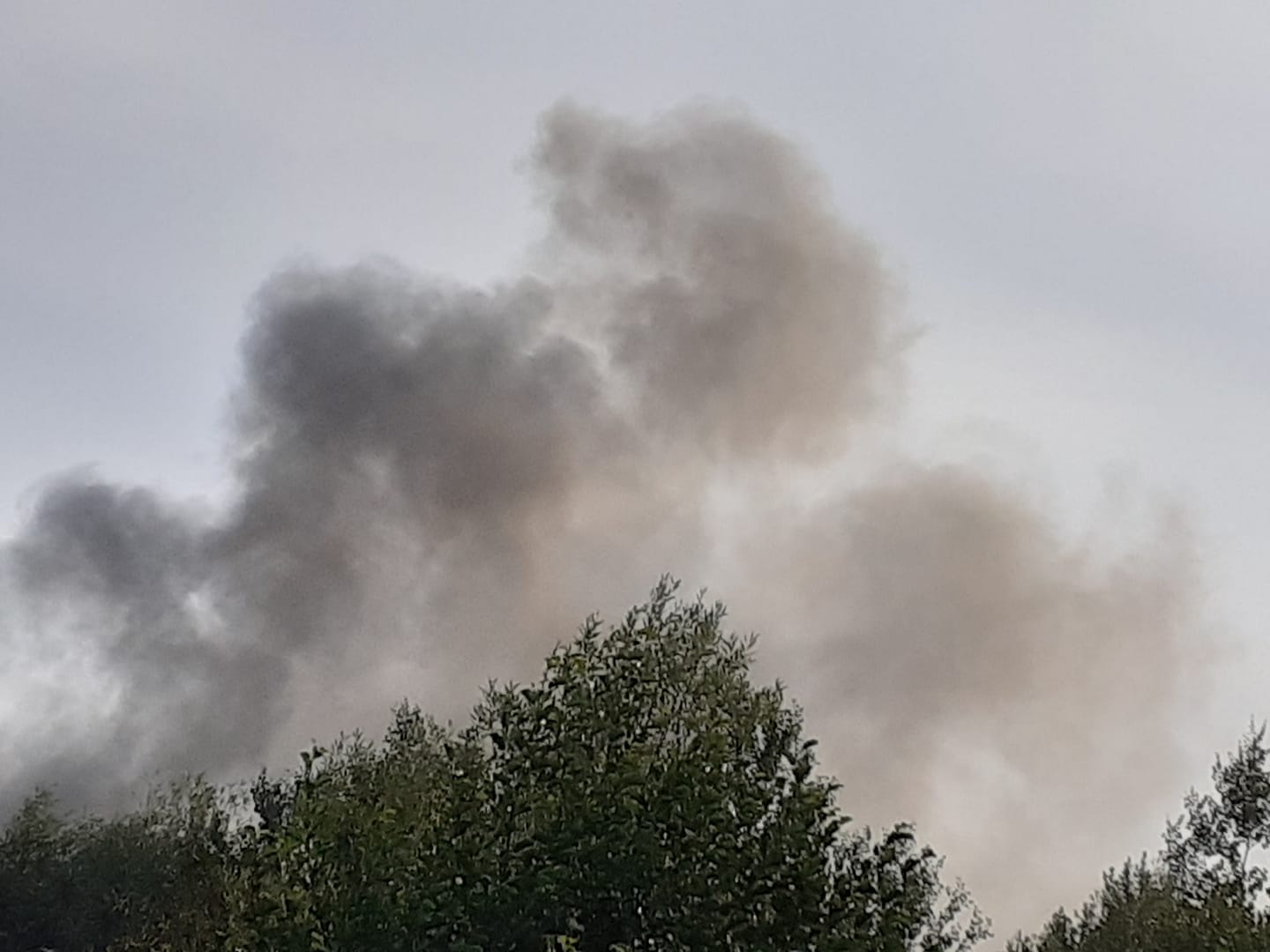 Civilna iniciativa za zeleno Stražišče/Facebook