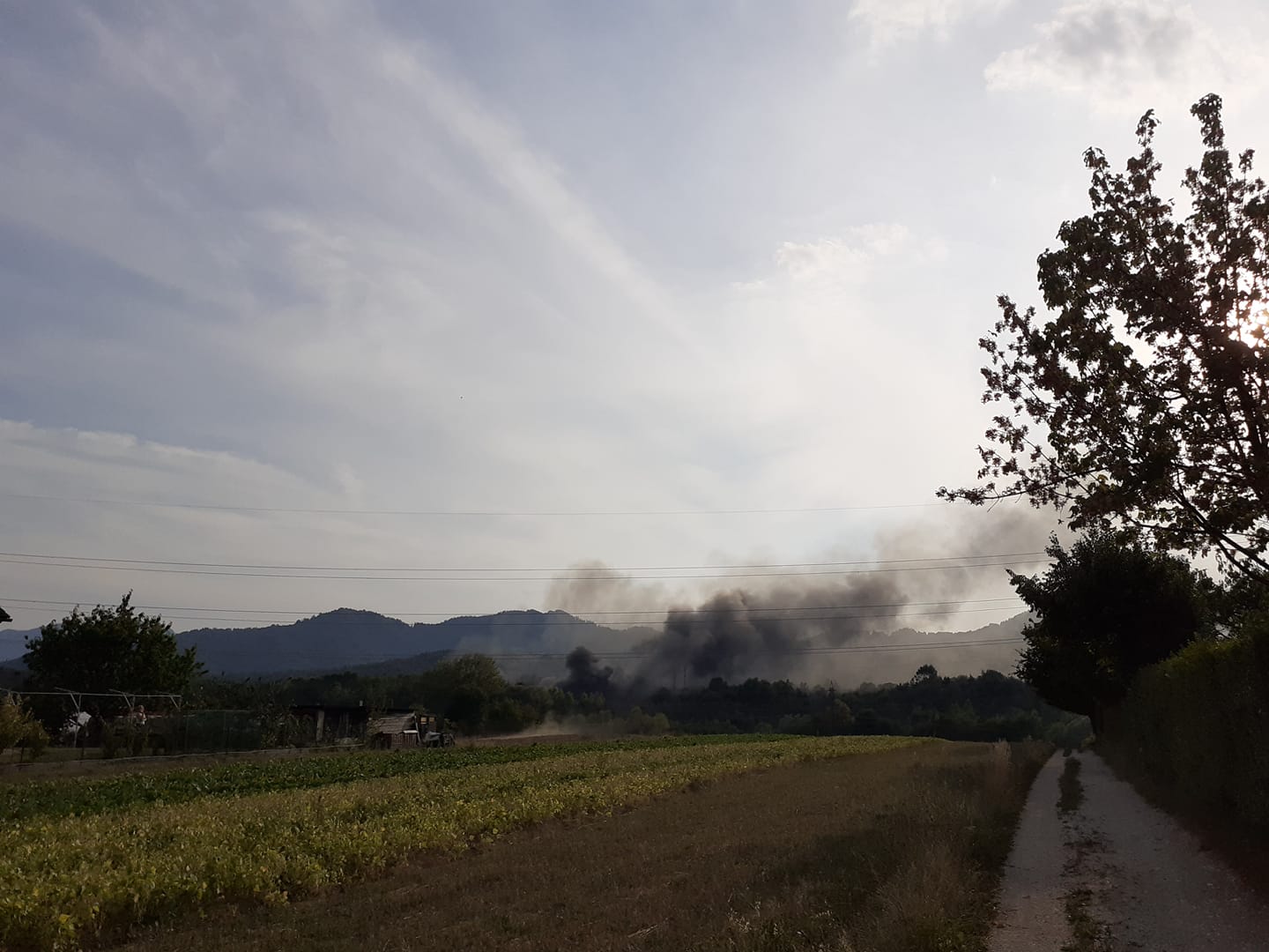 Civilna iniciativa za zeleno Stražišče/Facebook