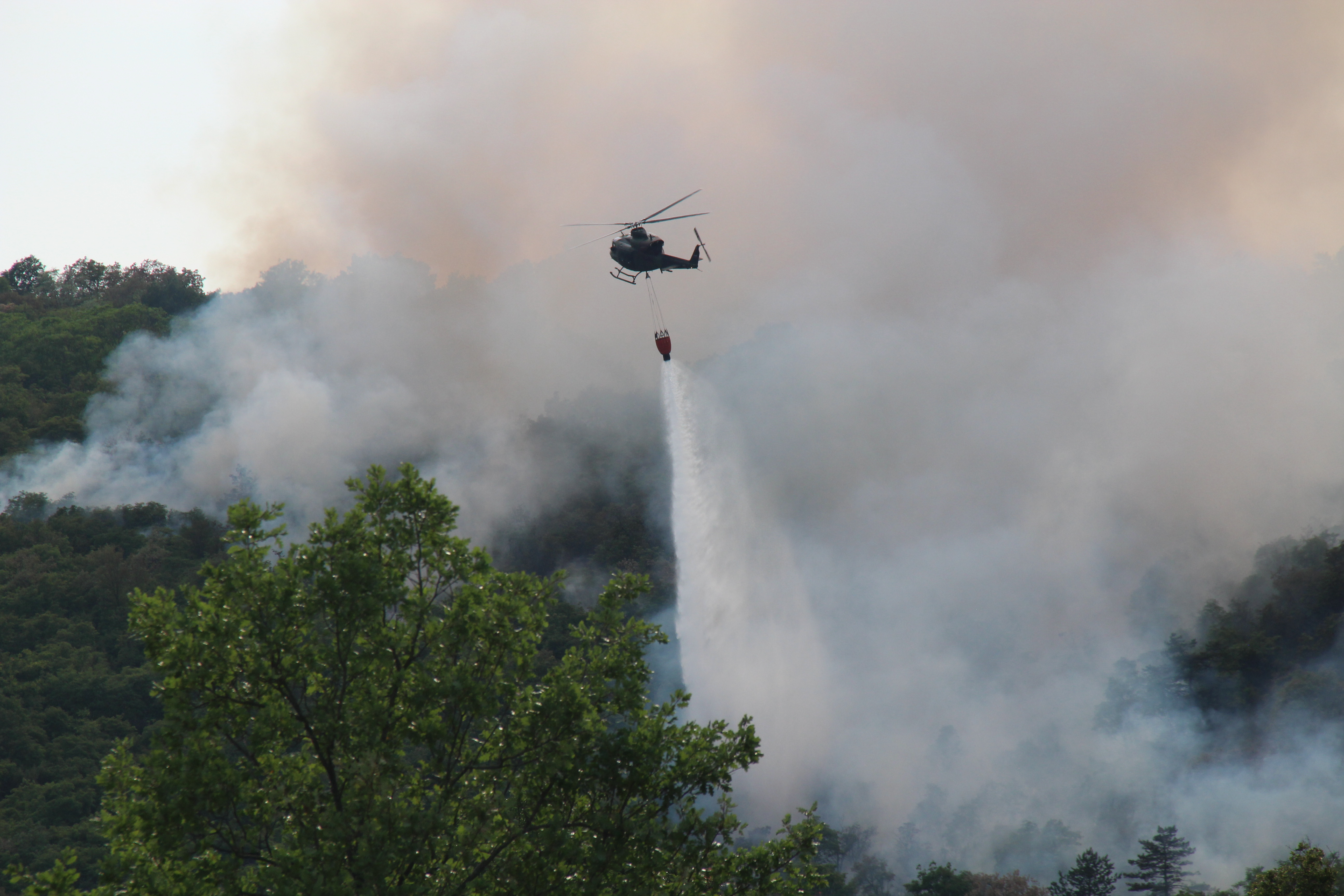 Požar pri Devetakih