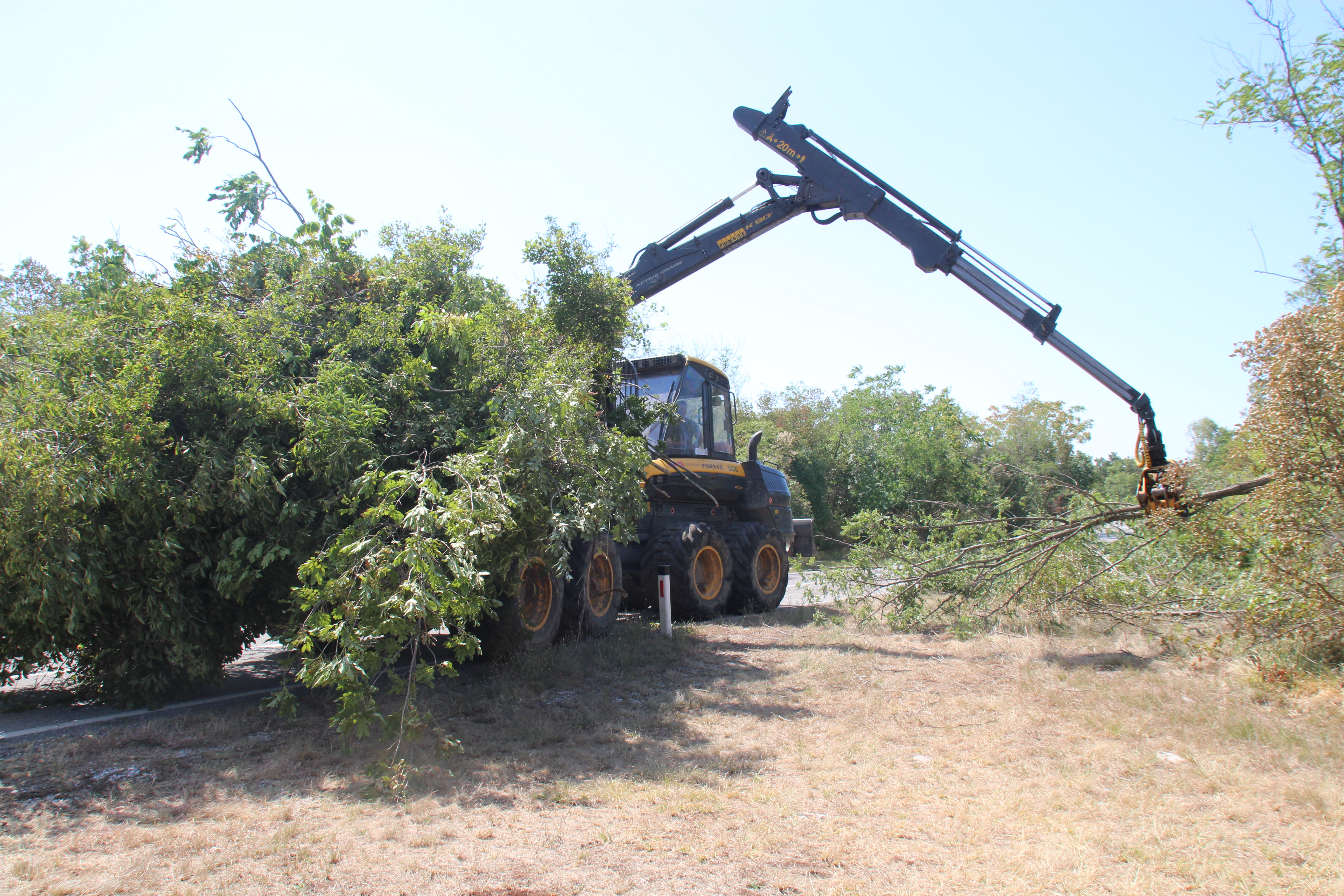 Danijel Cek, regijski štab CZ za Notranjsko