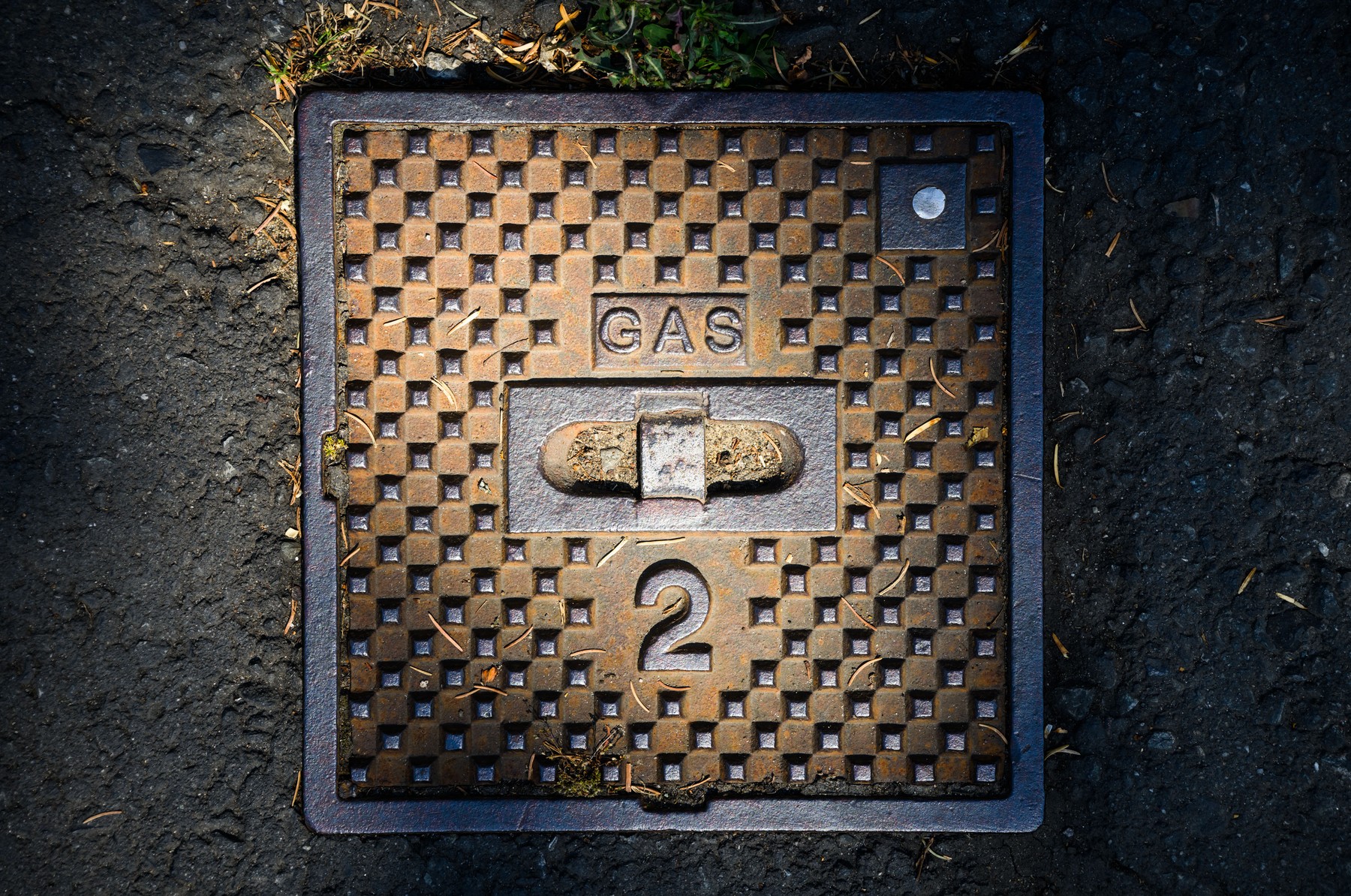 profimedia-0702114718 (1)