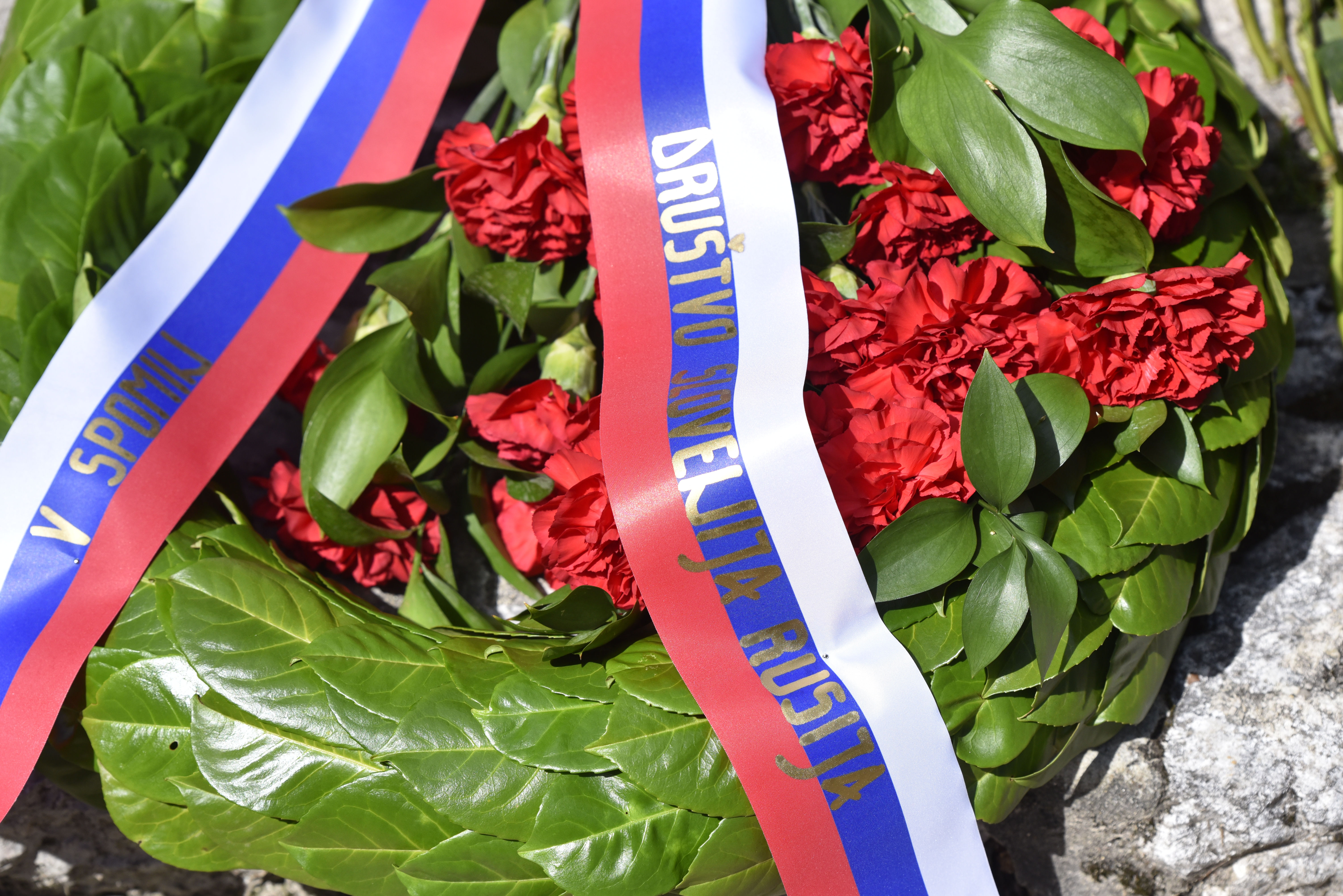 Žiga Živulović jr./BOBO