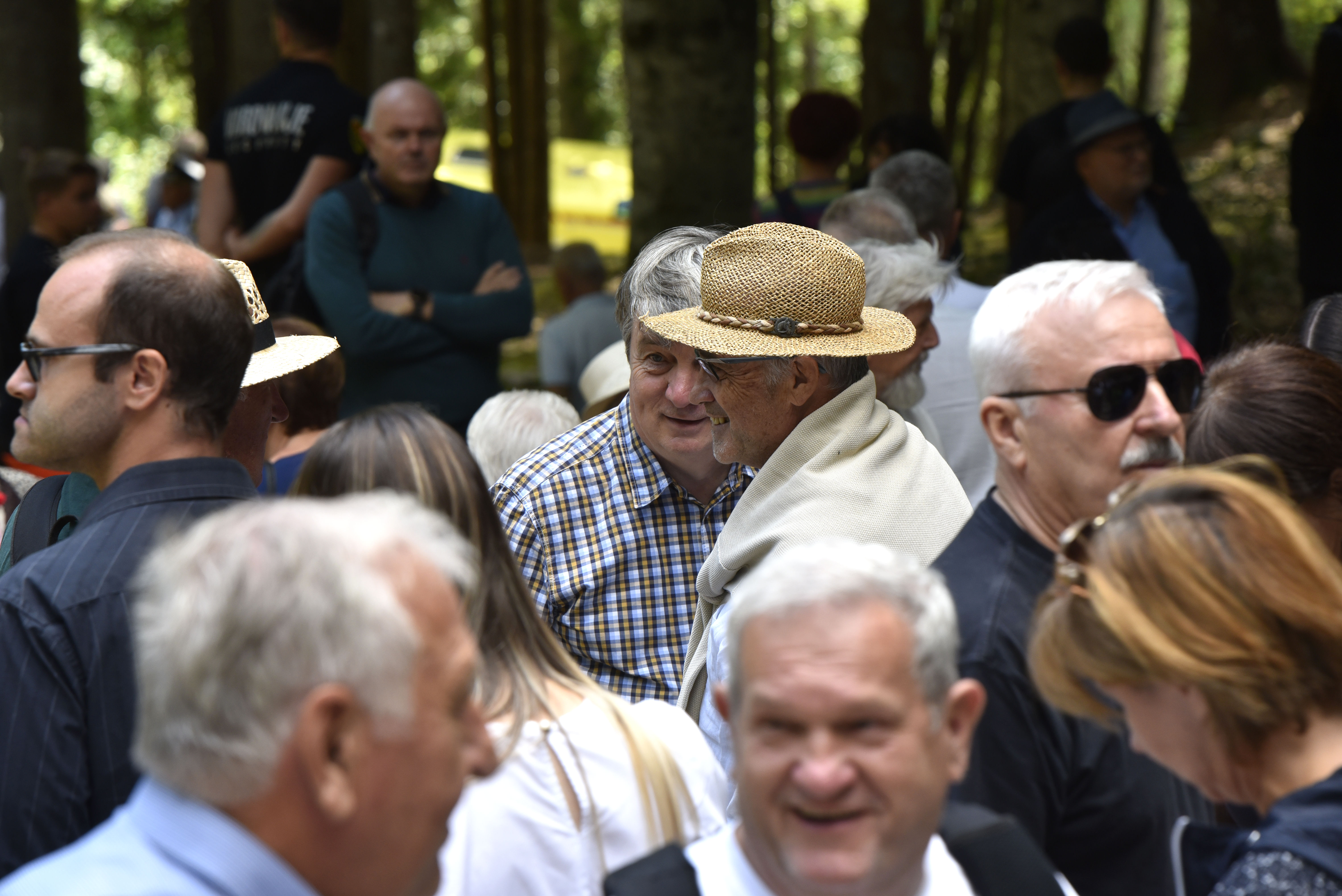 Žiga Živulović jr./BOBO