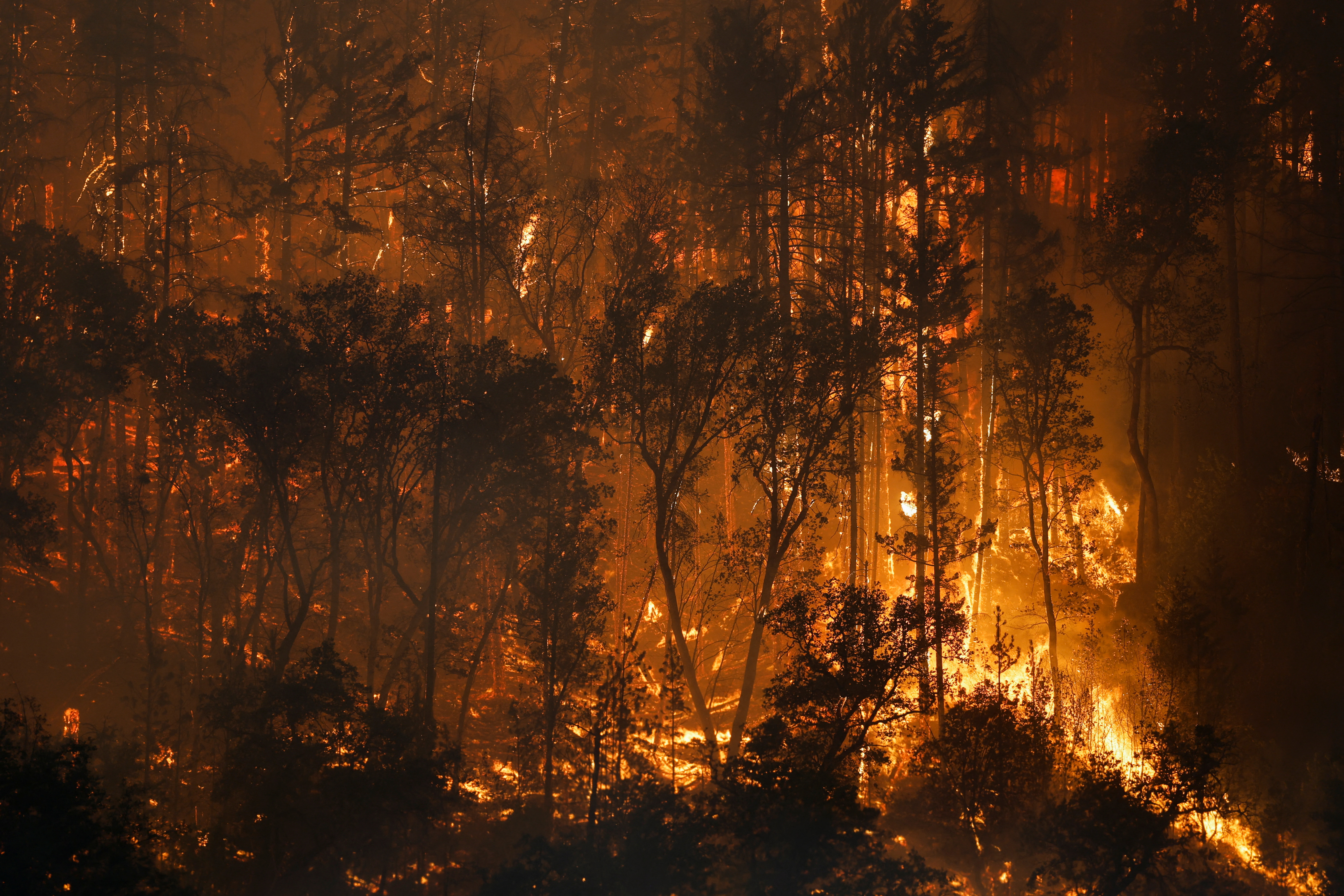 Fred Greaves/REUTERS