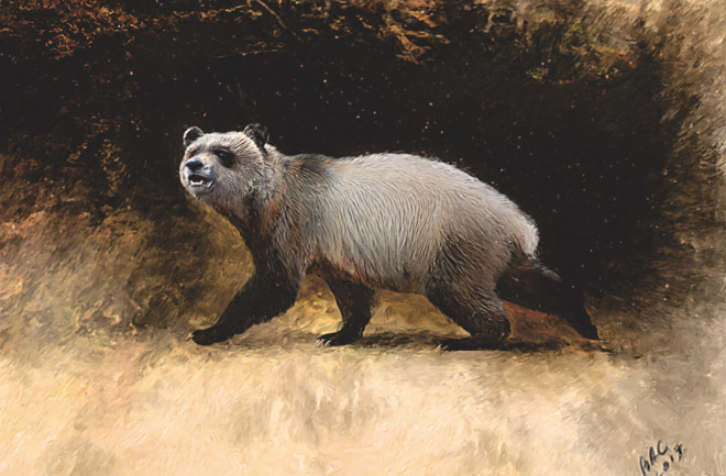 1659614756-Prehistoric_Panda.jpg
