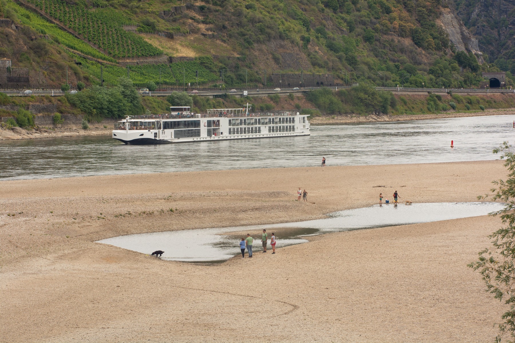 Ren, suša, nizka gladina, promet po vodi