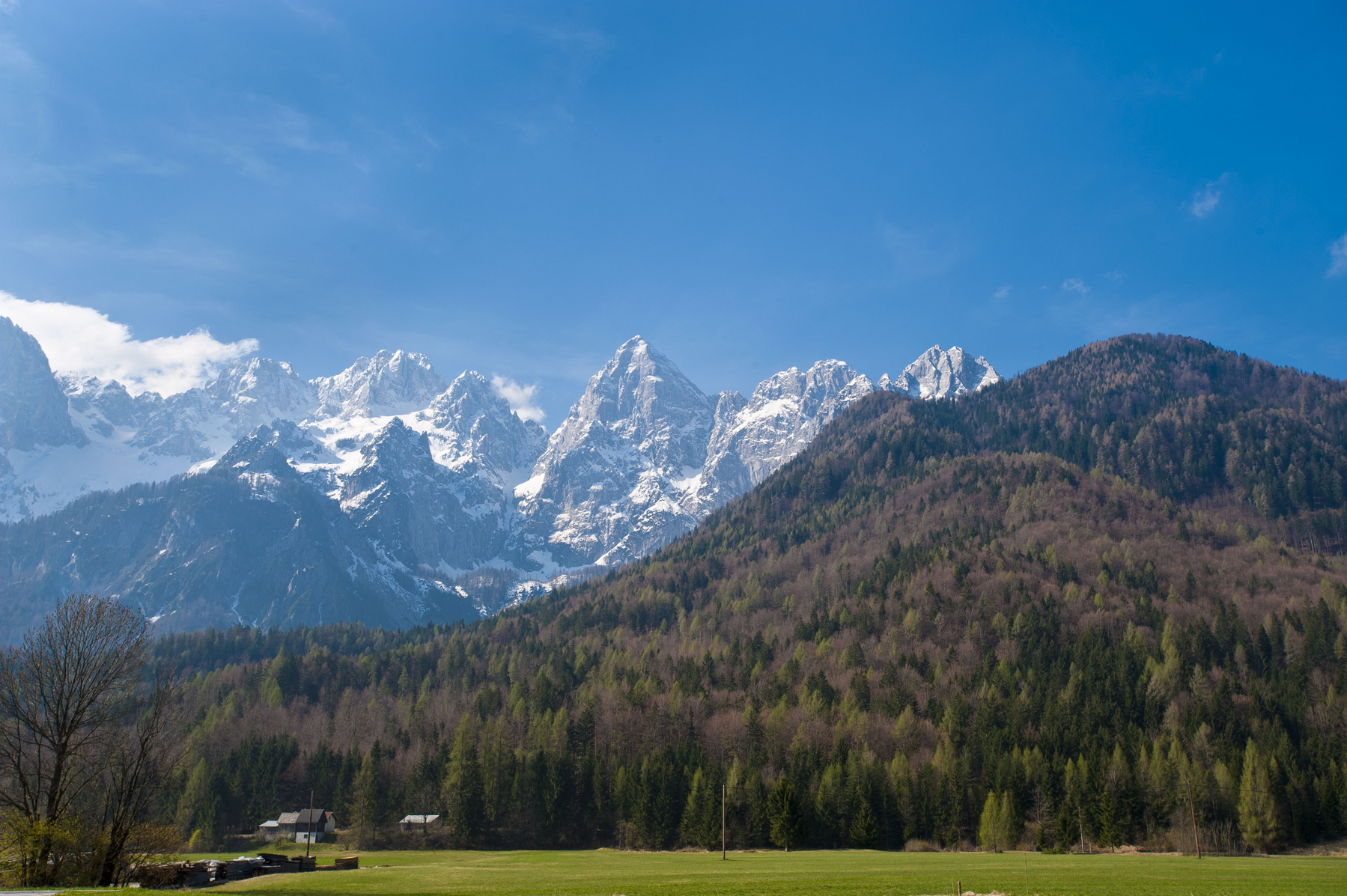 narava, gore, gozdovi