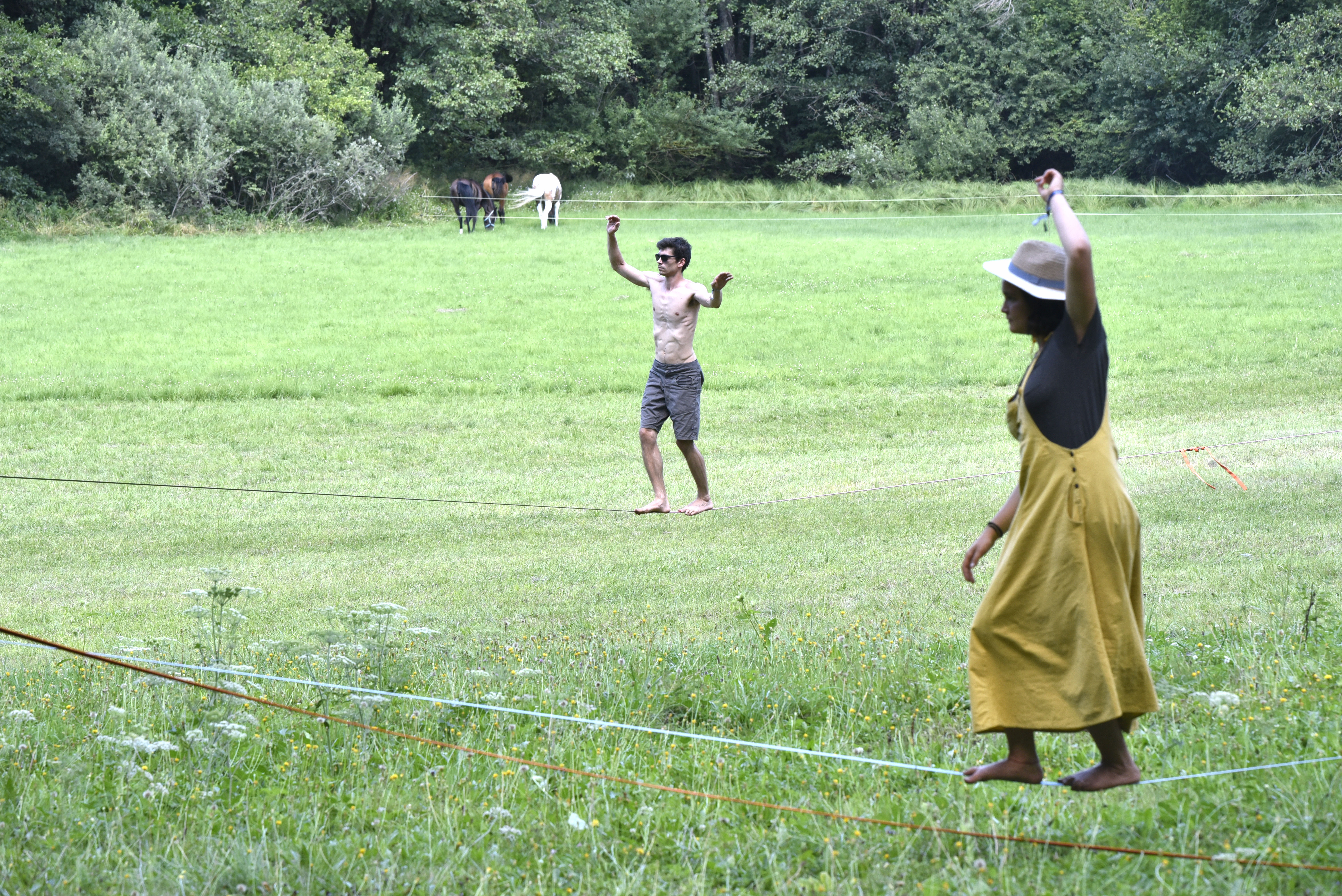 Žiga Živulović jr./Bobo