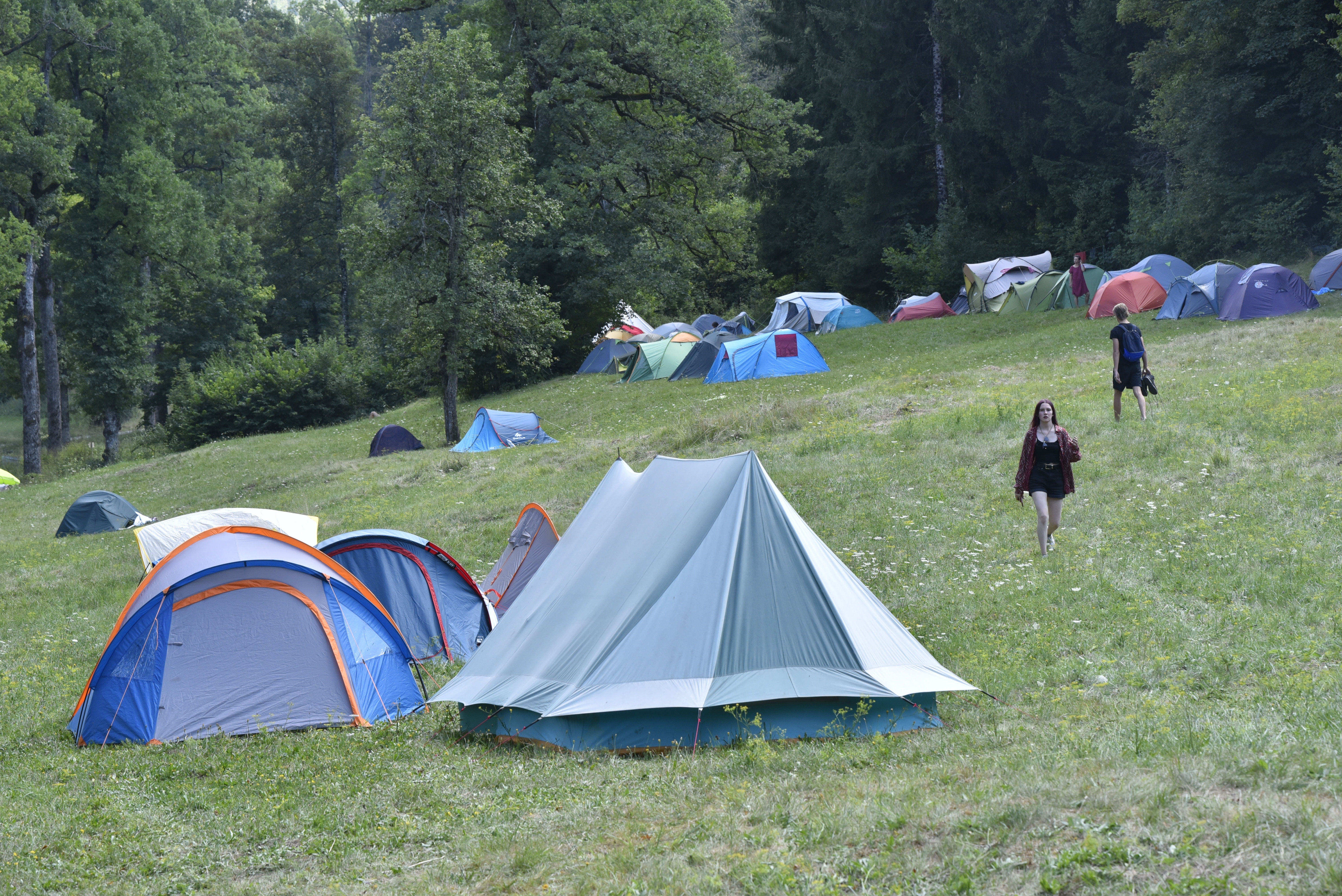 Žiga Živulović jr./Bobo