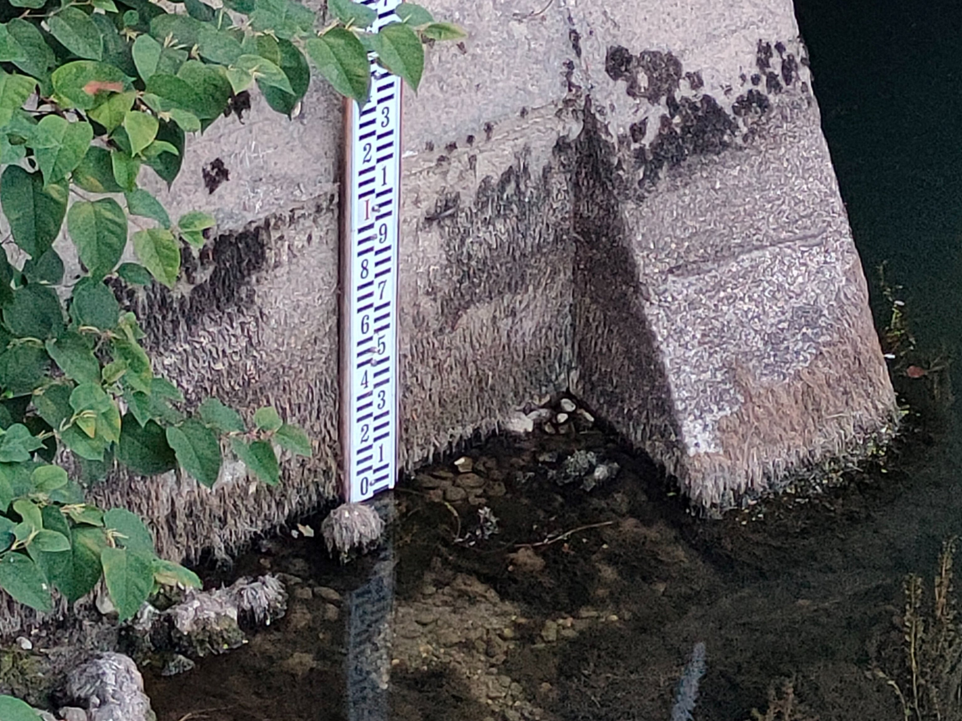 vodostaj Ljubljanica