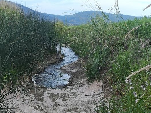 zasutje požiralnikov