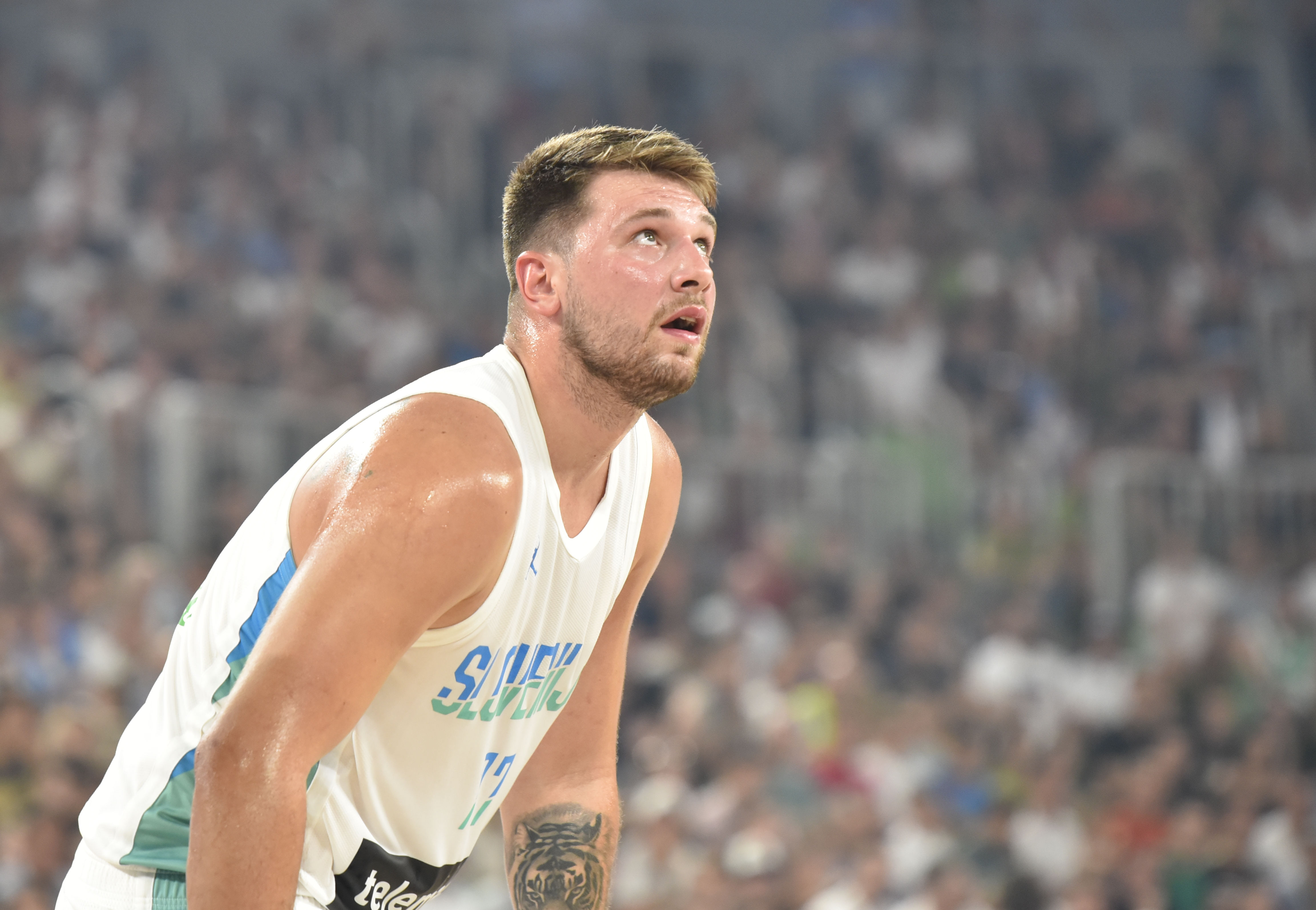 Žiga Živulovič jr./BOBO