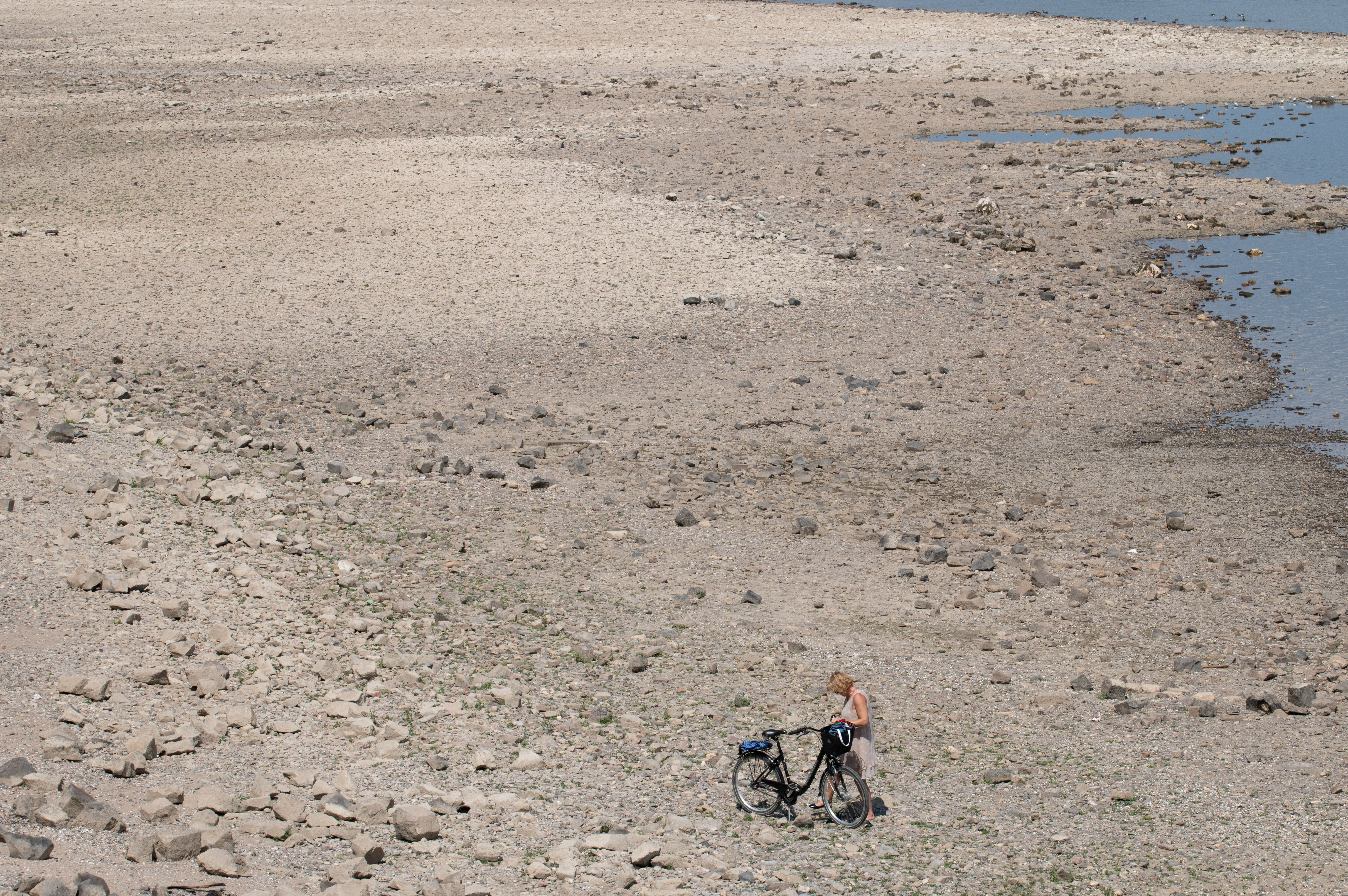 Benjamin Westhoff/REUTERS