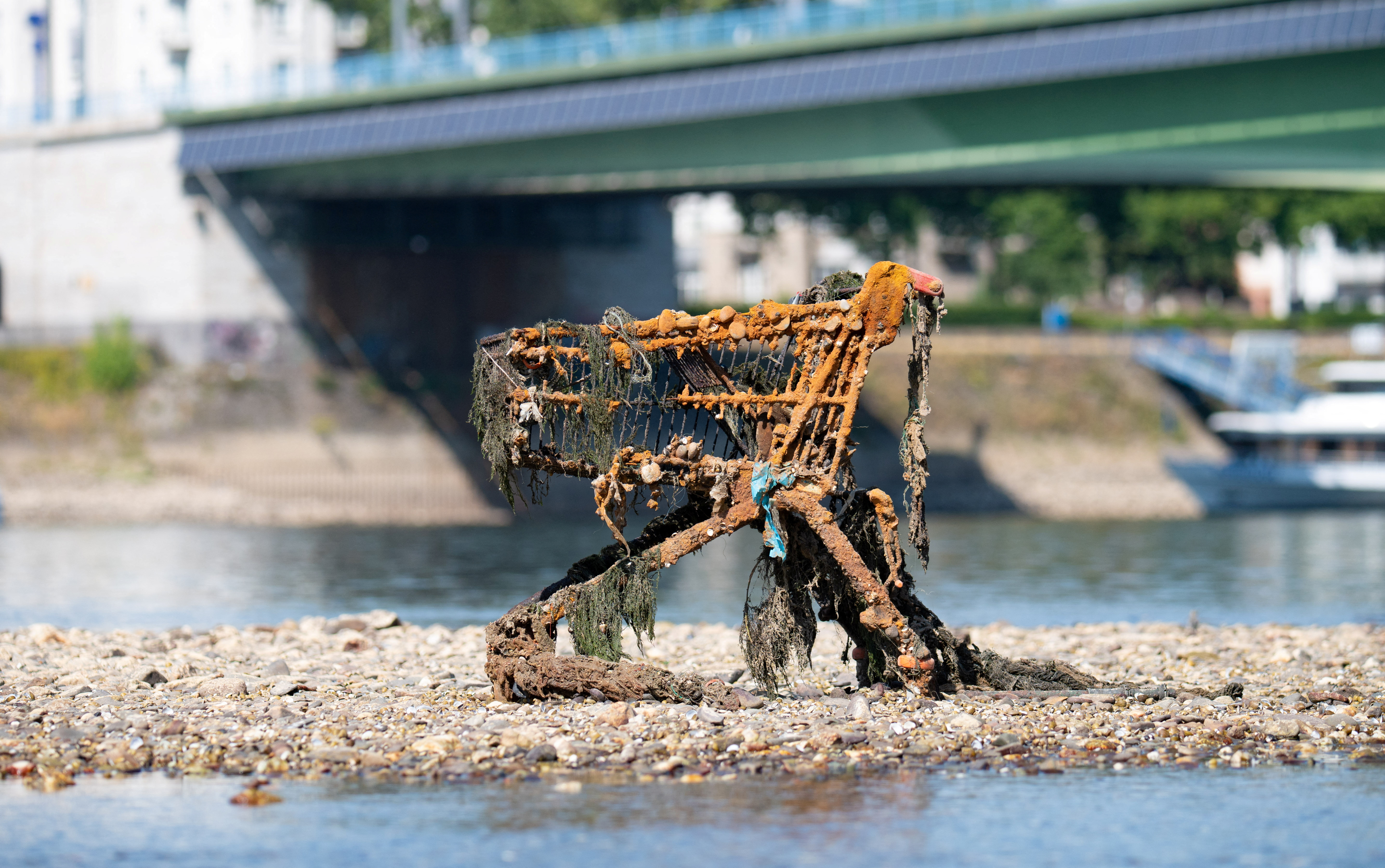 Ren, nizka gladina, suša, reka, ladja
