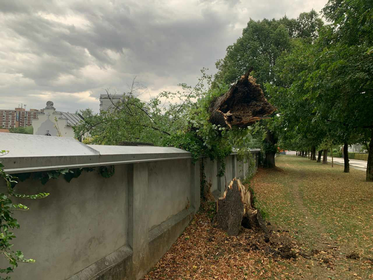 Žiga Živulović jr./BOBO