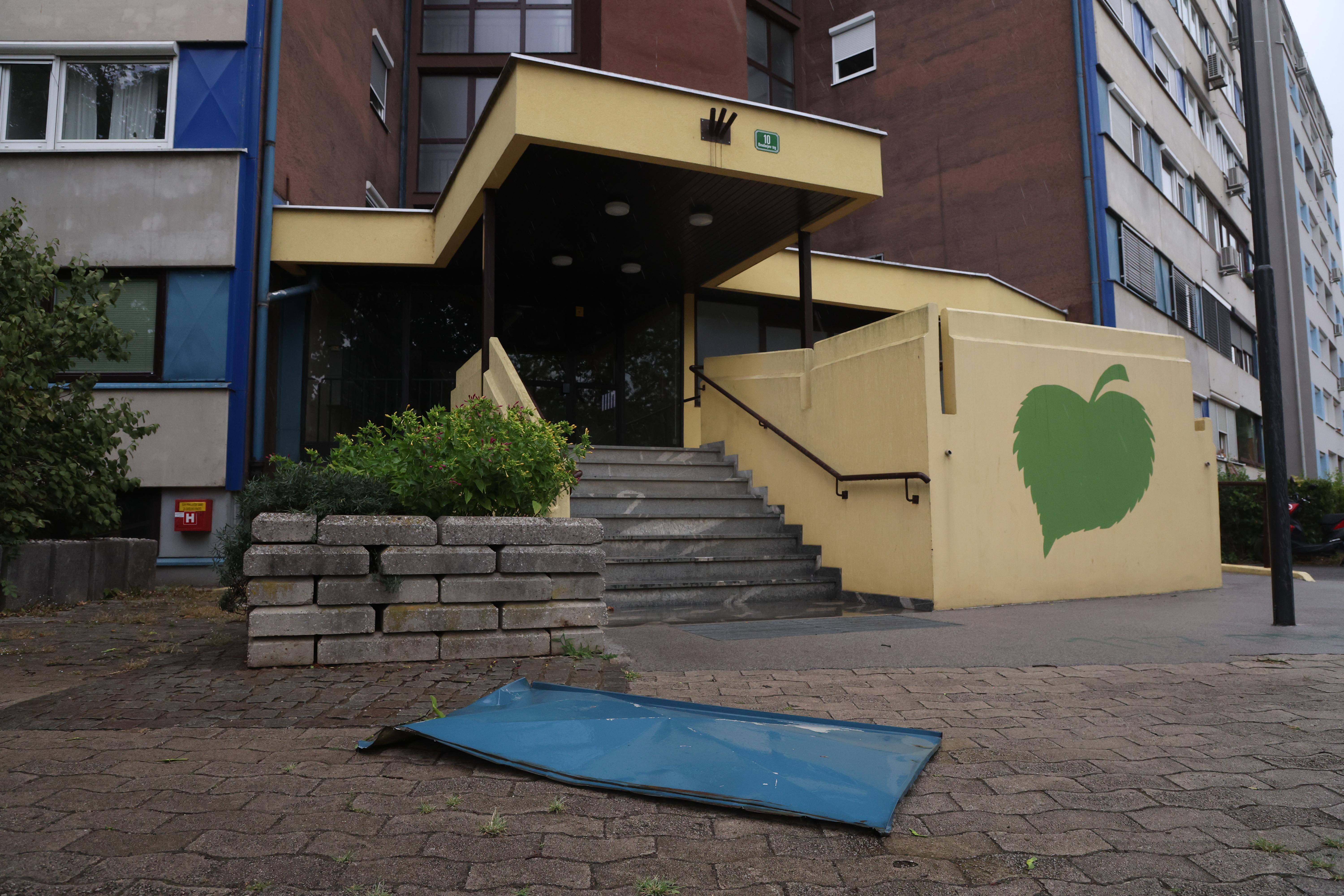 Borut Živulović/ BOBO