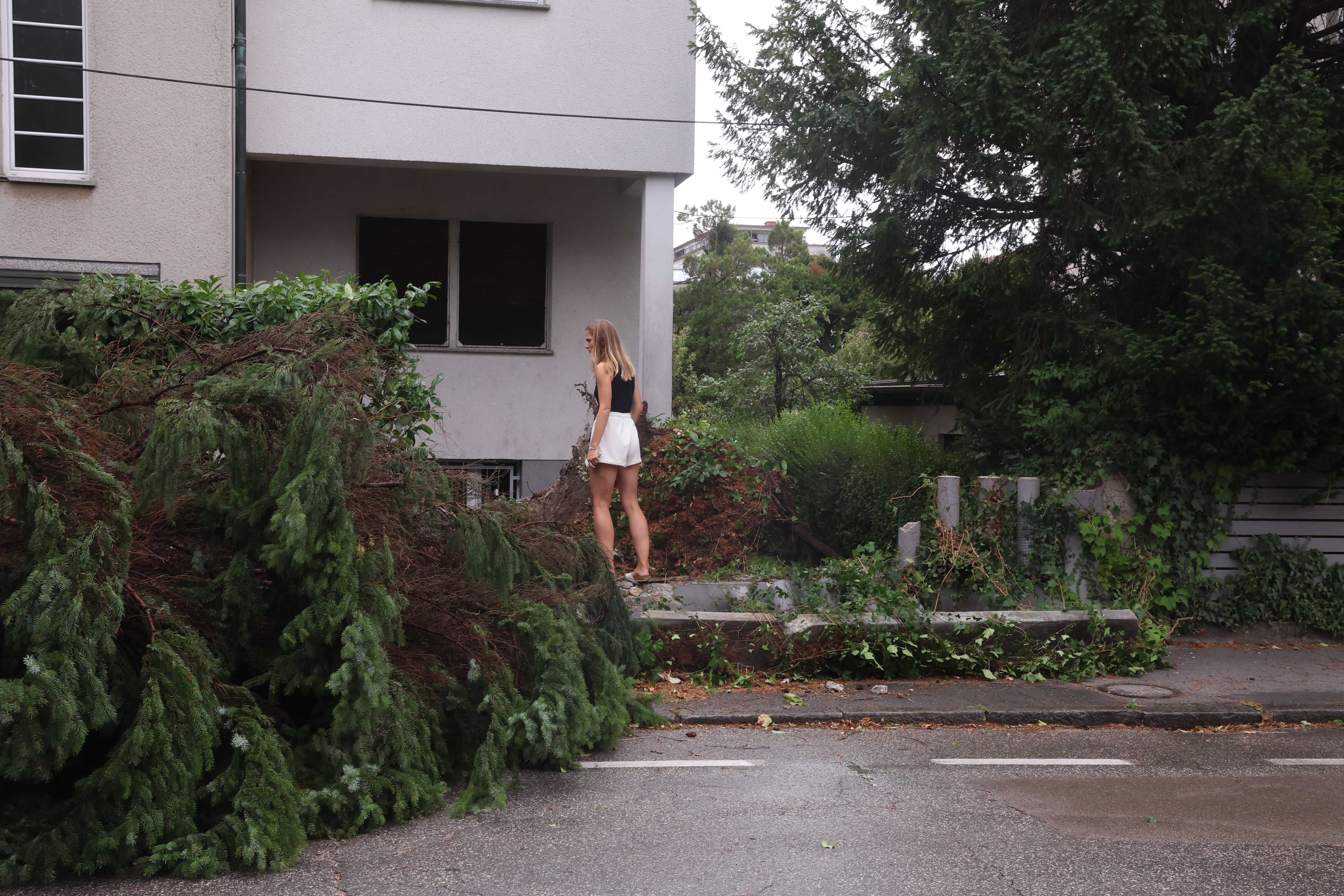 Borut Živulović/ BOBO