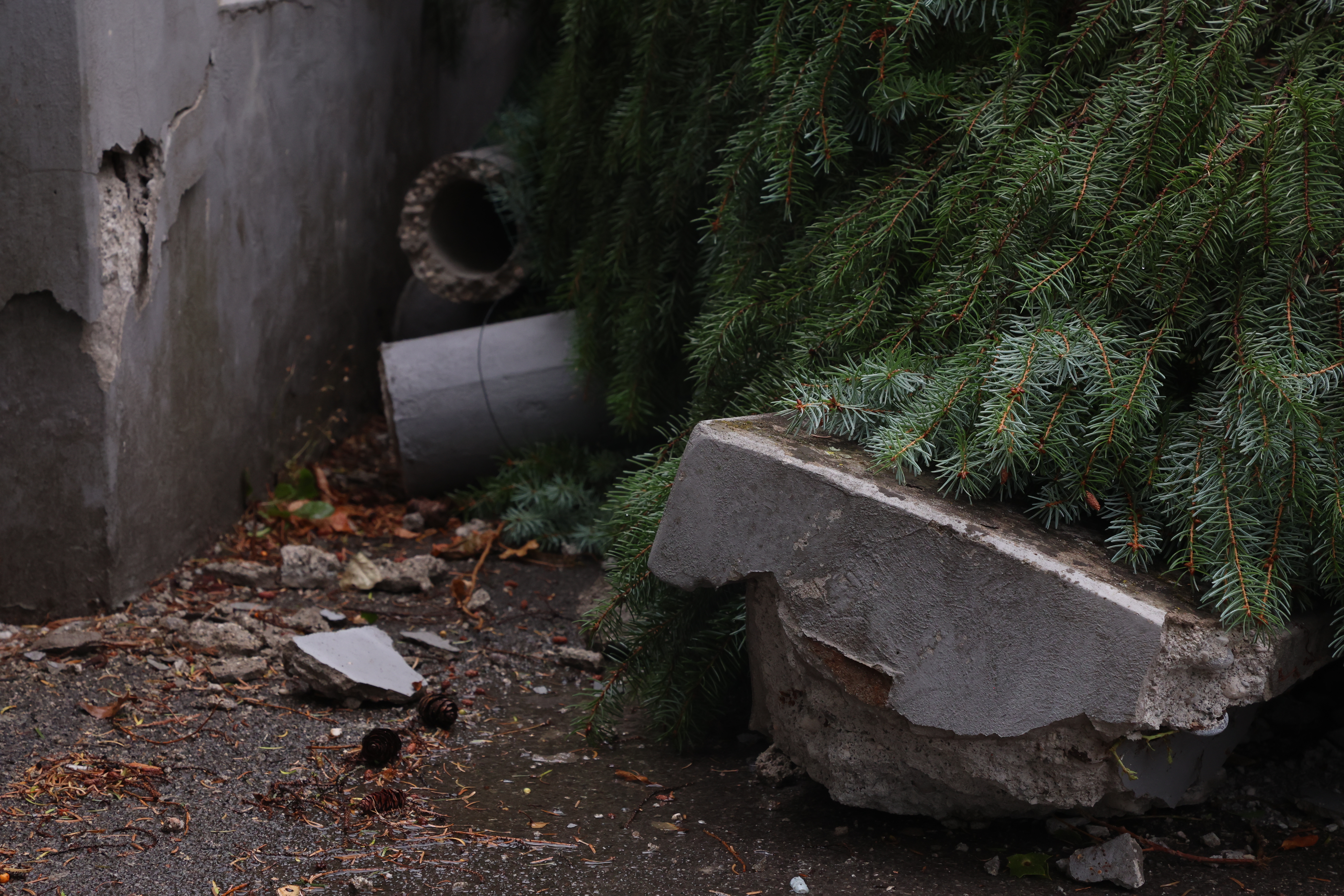 Borut Živulović/ BOBO