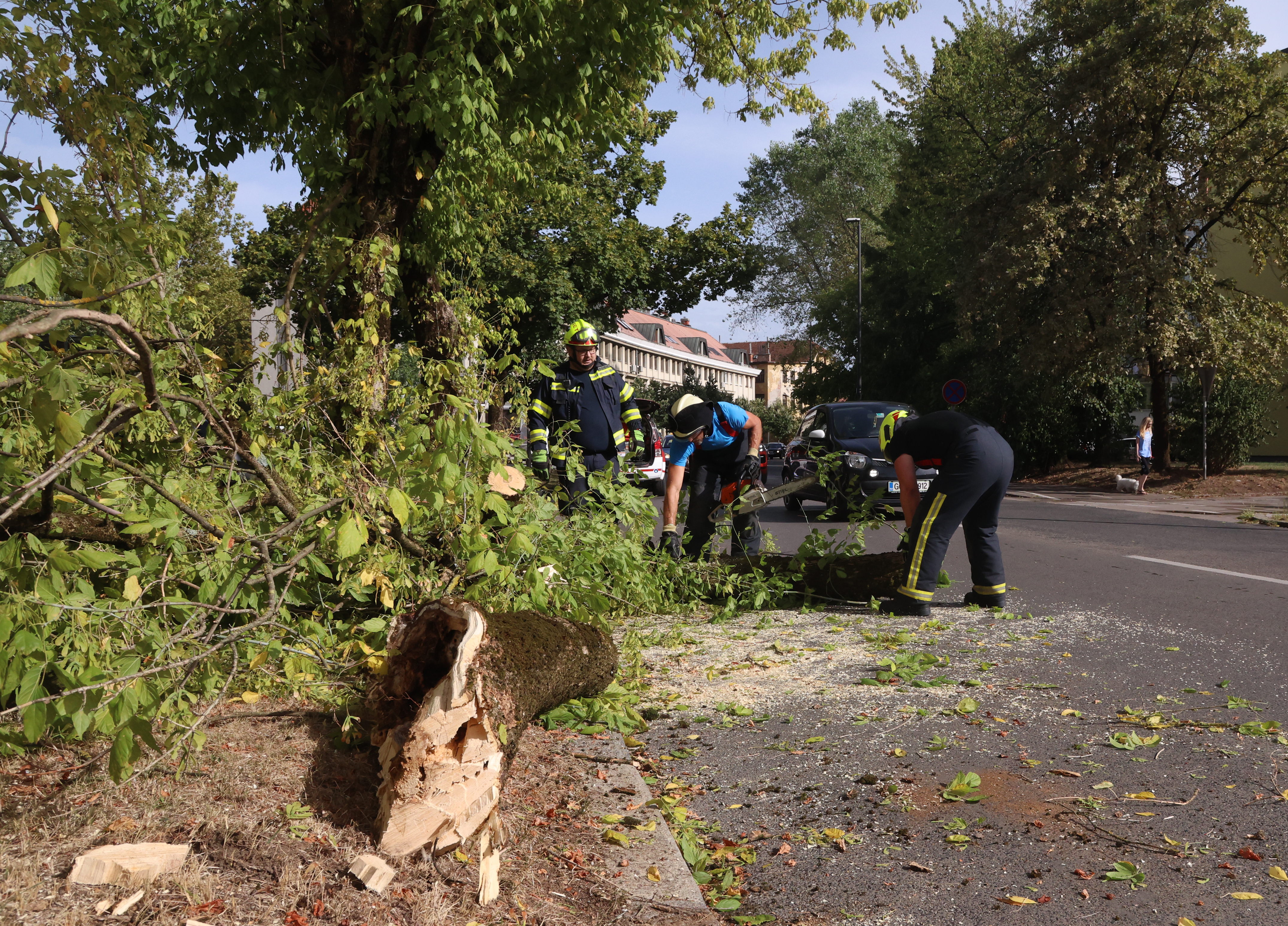 Borut Živulović/ BOBO