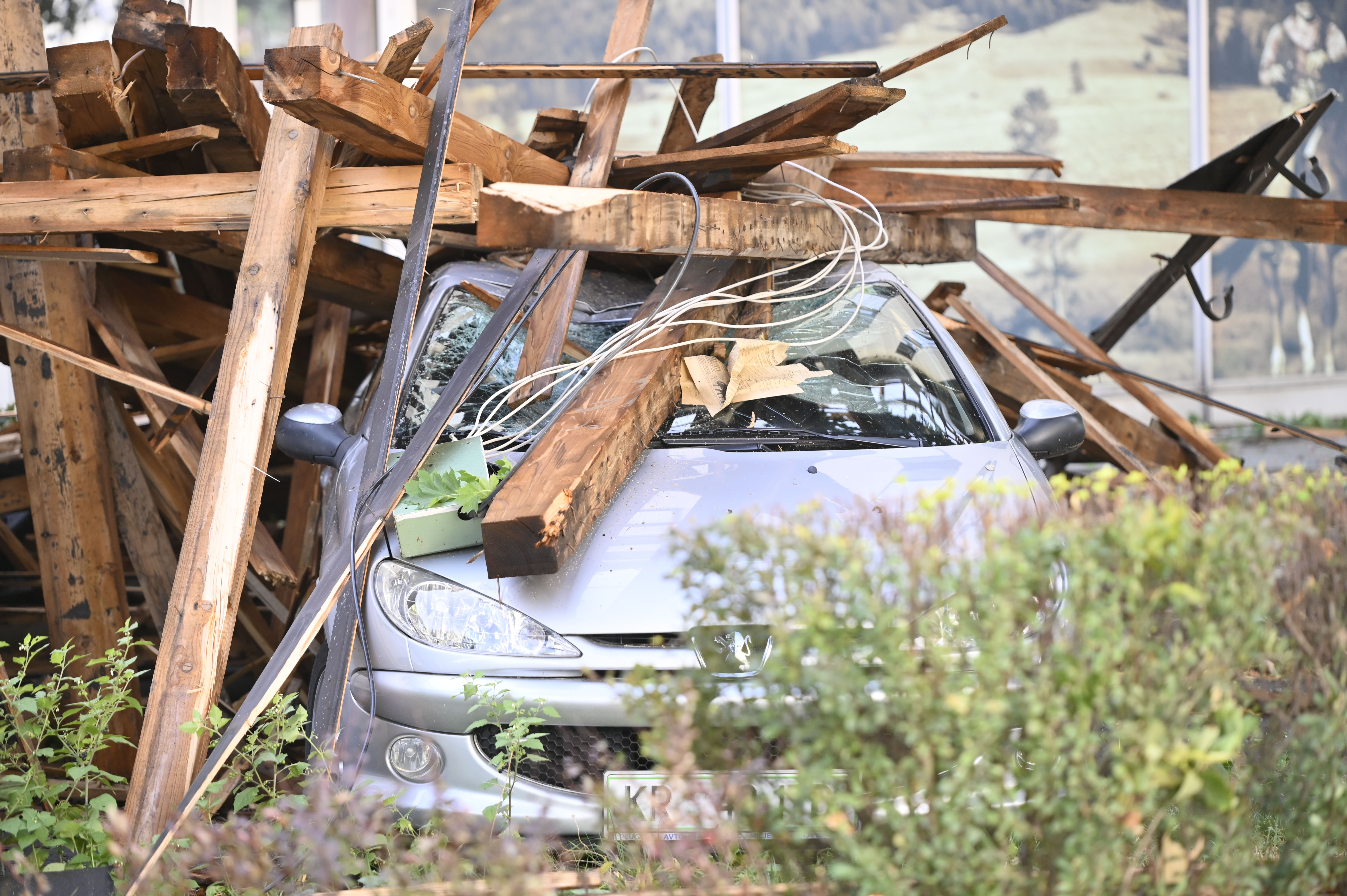 Žiga Živulović jr./BOBO