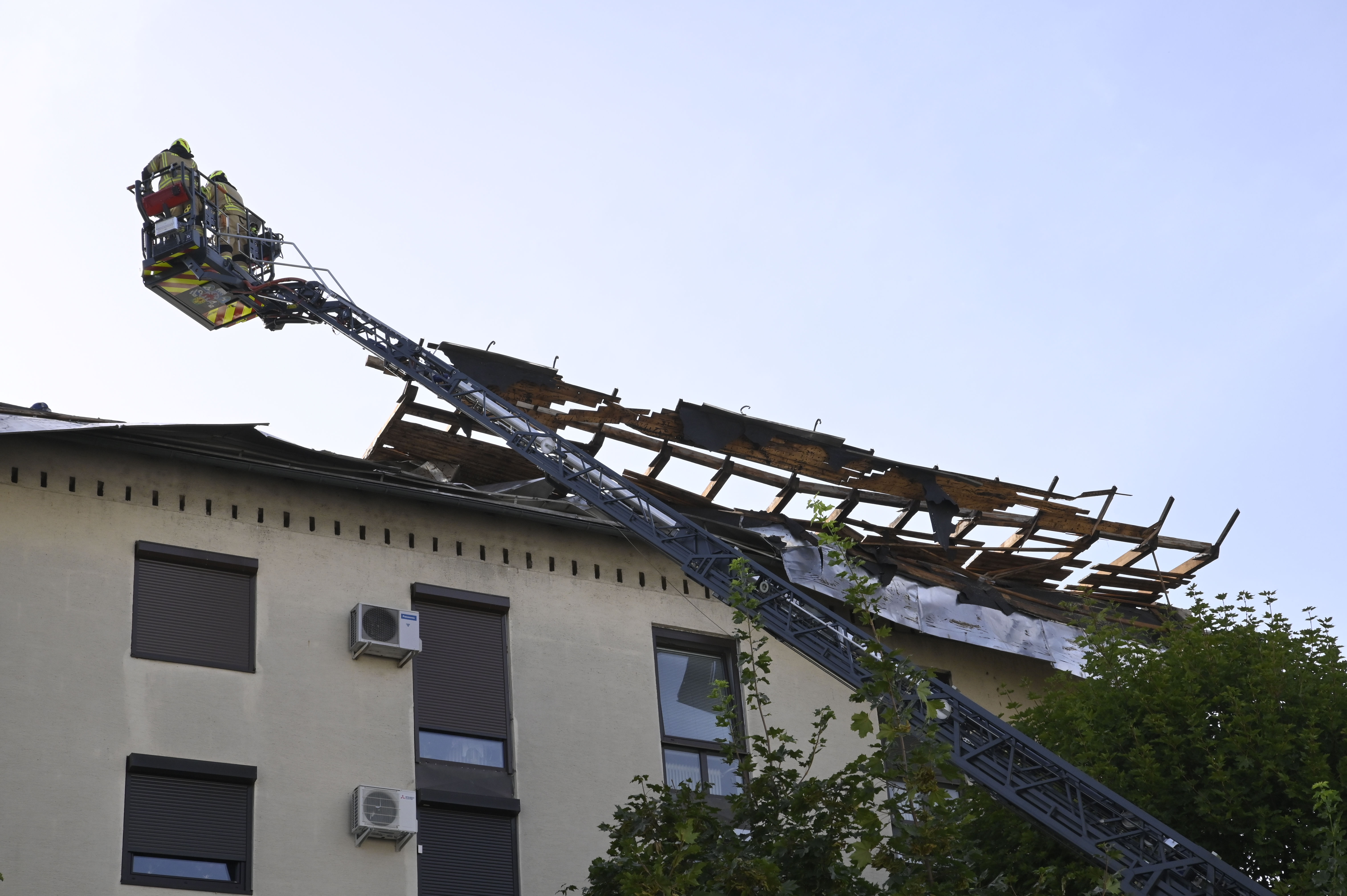 Žiga Živulović jr./BOBO