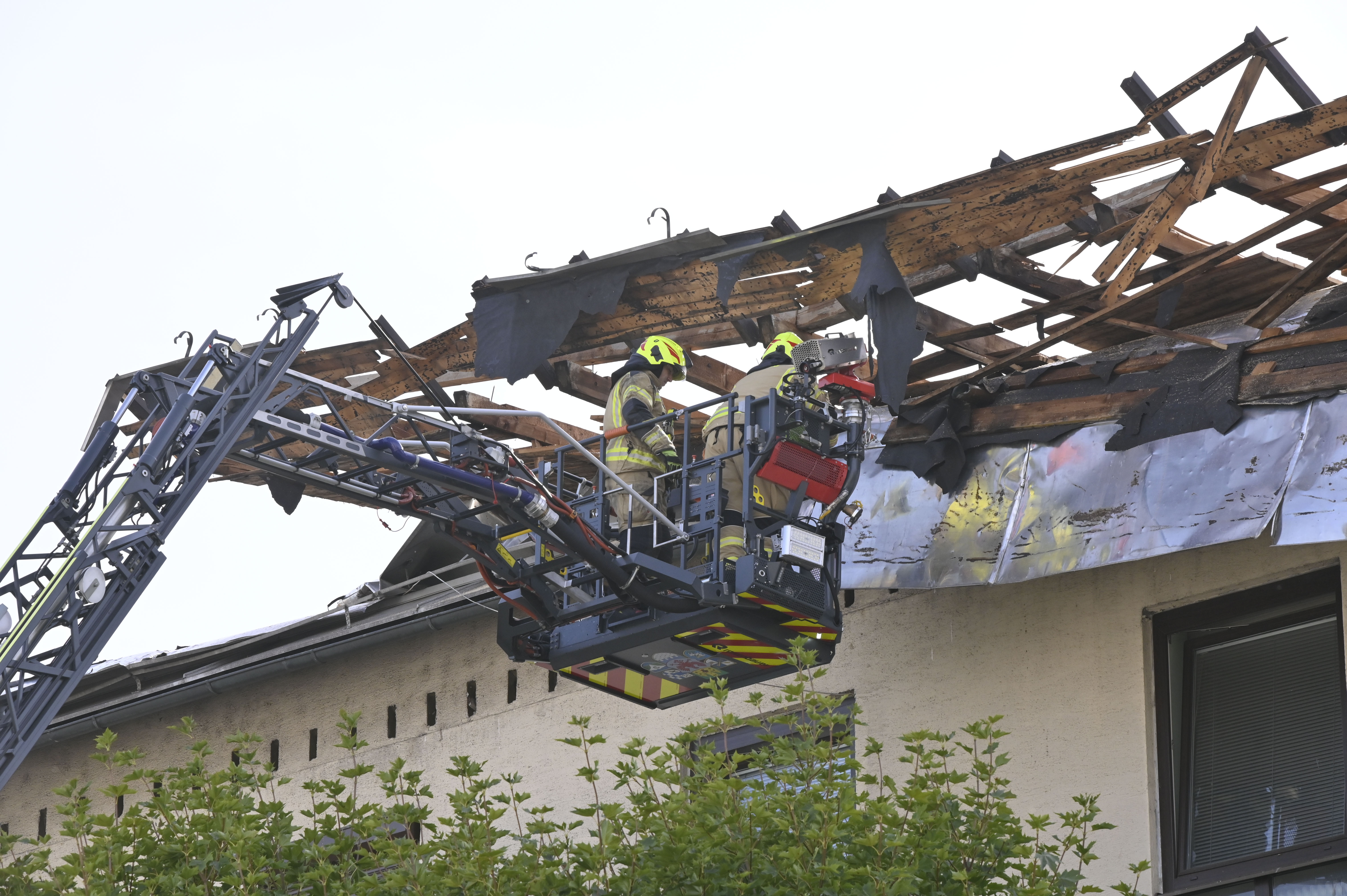 Žiga Živulović jr./BOBO