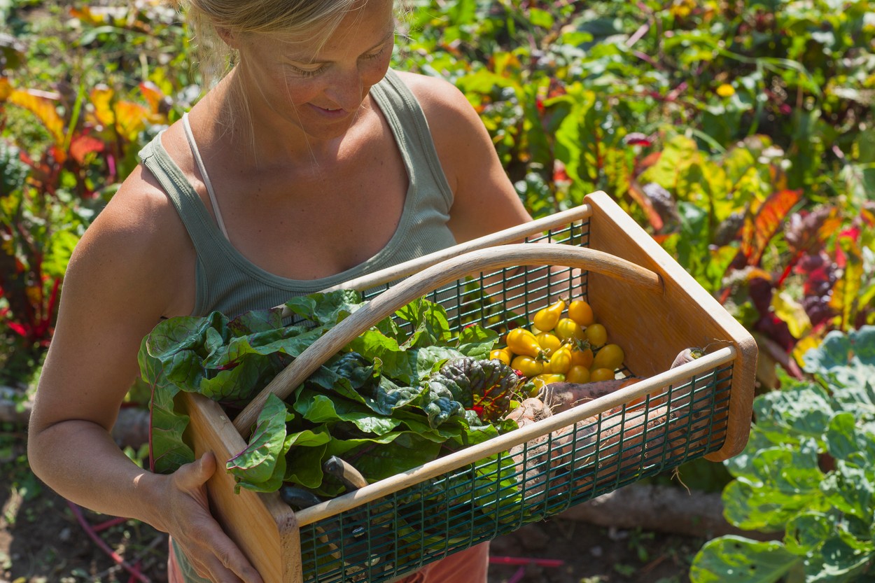 vrt, vrtnarjenje, zelenjava