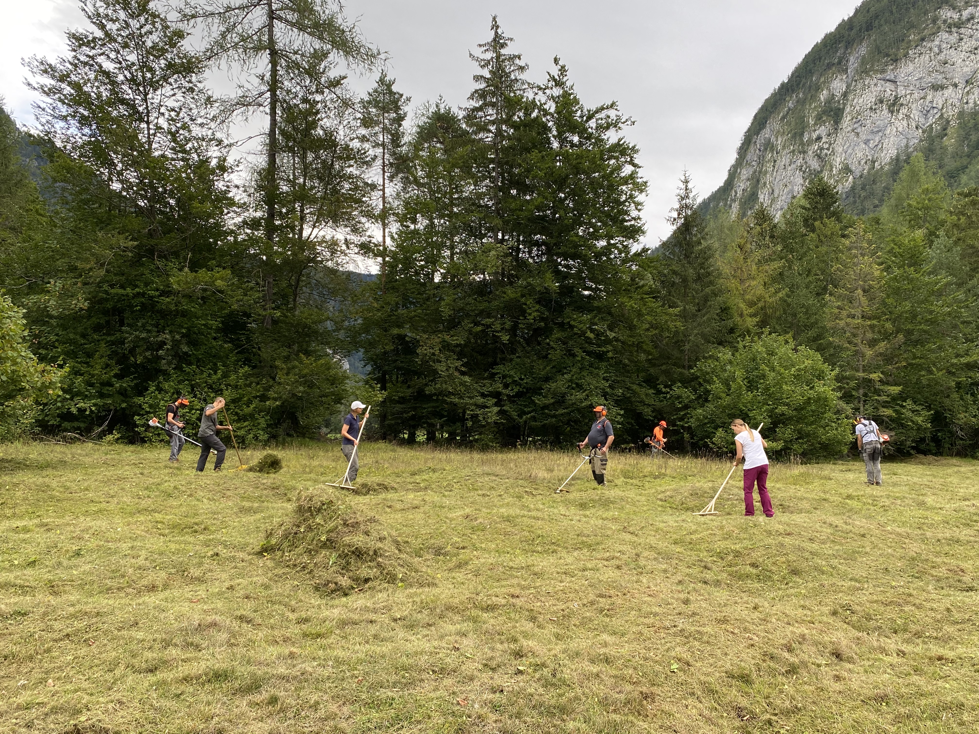 Košnja grbinastega travnika Radovna