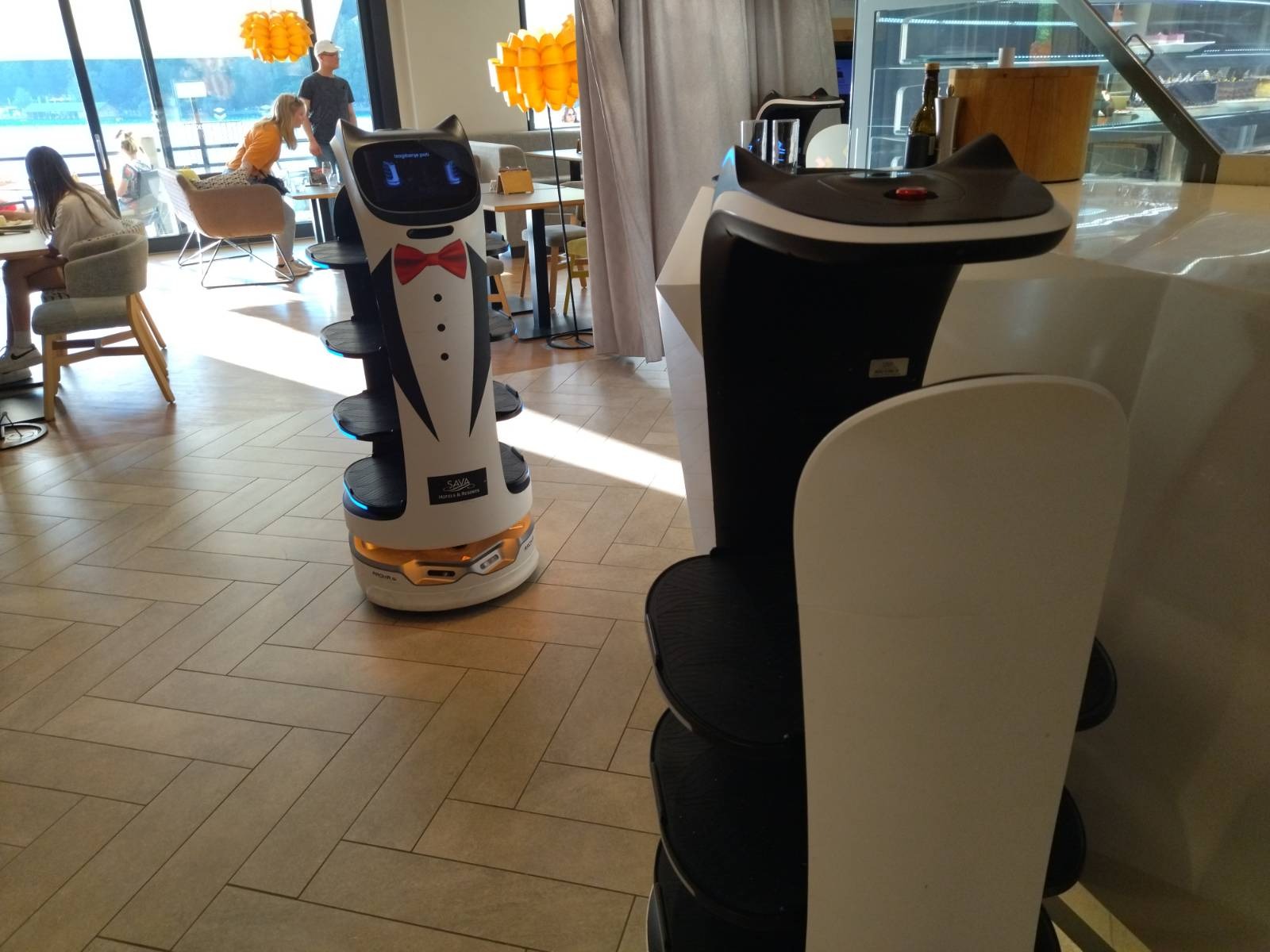 robota, bled, kavarna park