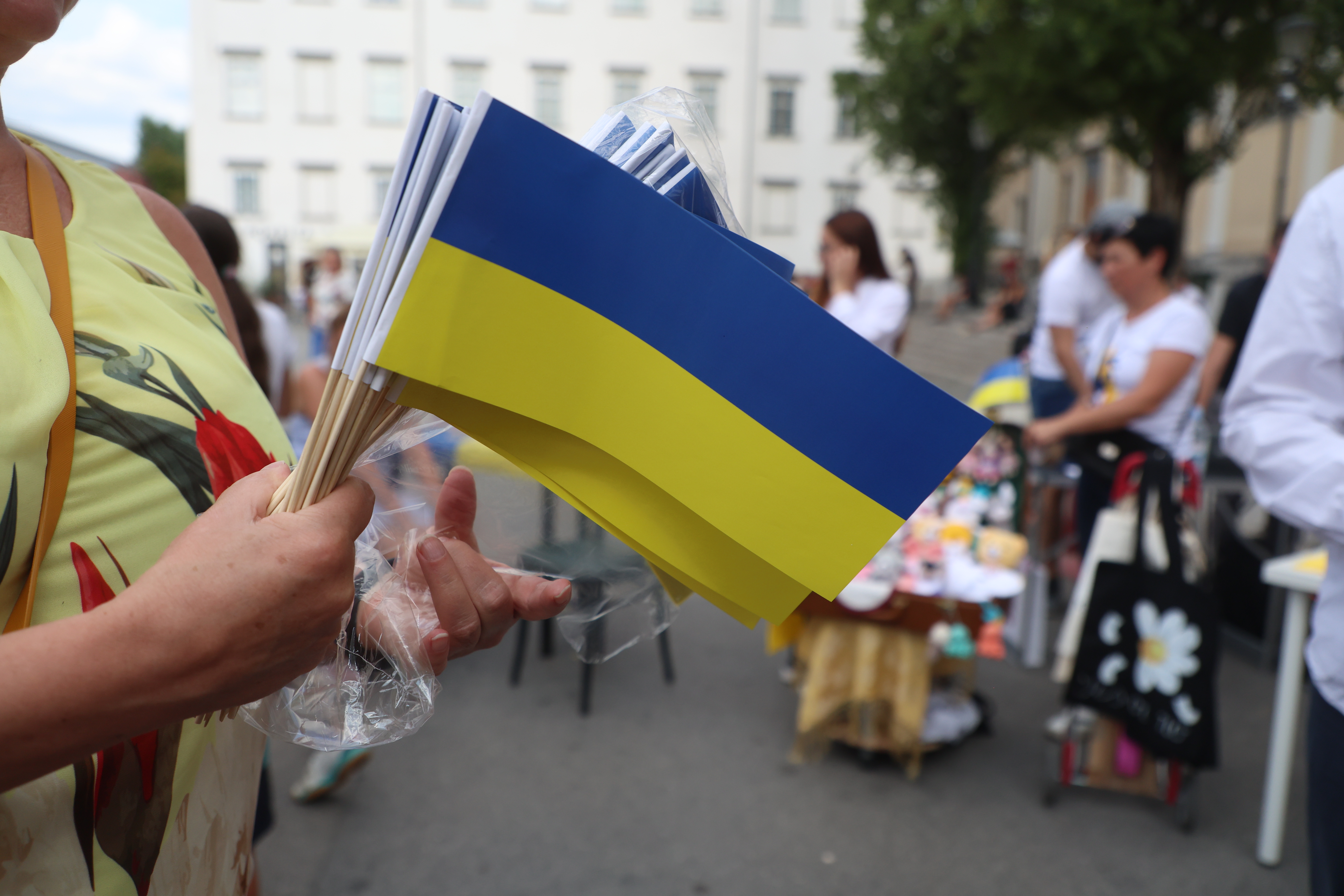 Borut Živulovič/BOBO