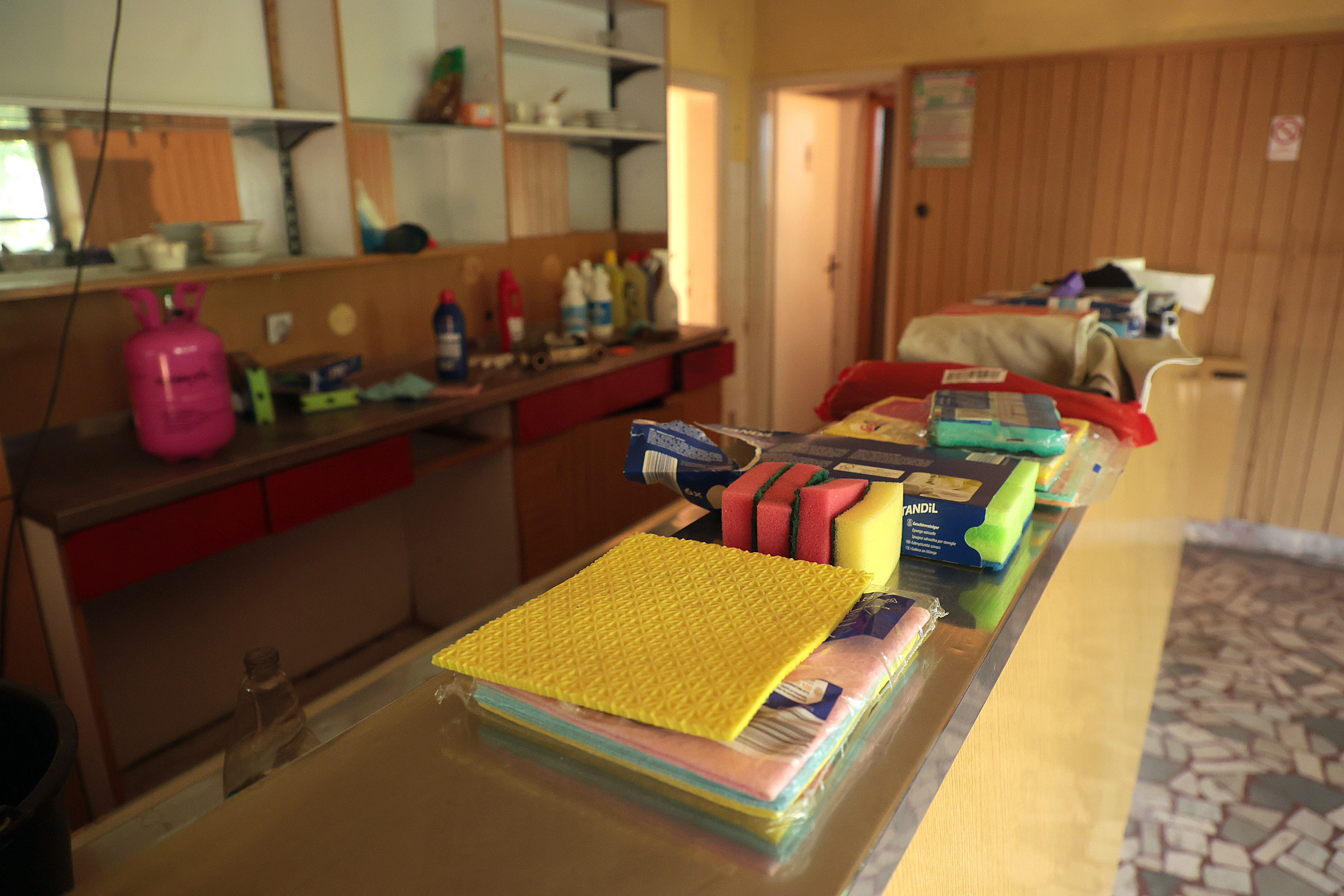 Plac, avtonomna cona, Linhartova